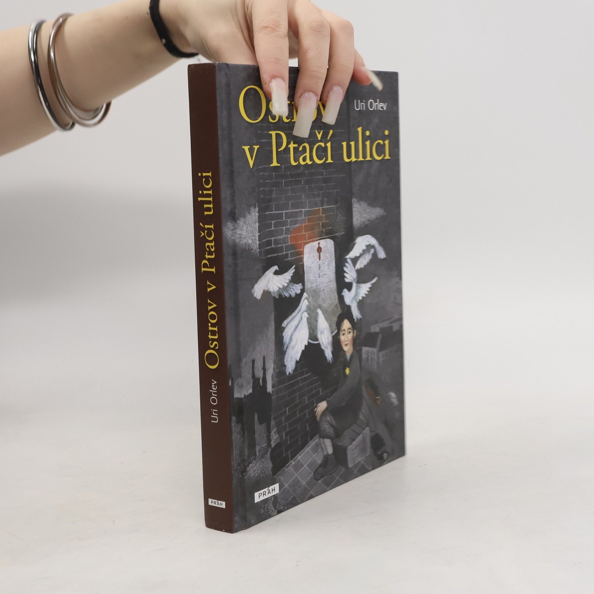 Uri Orlev Ostrov v Ptačí ulici