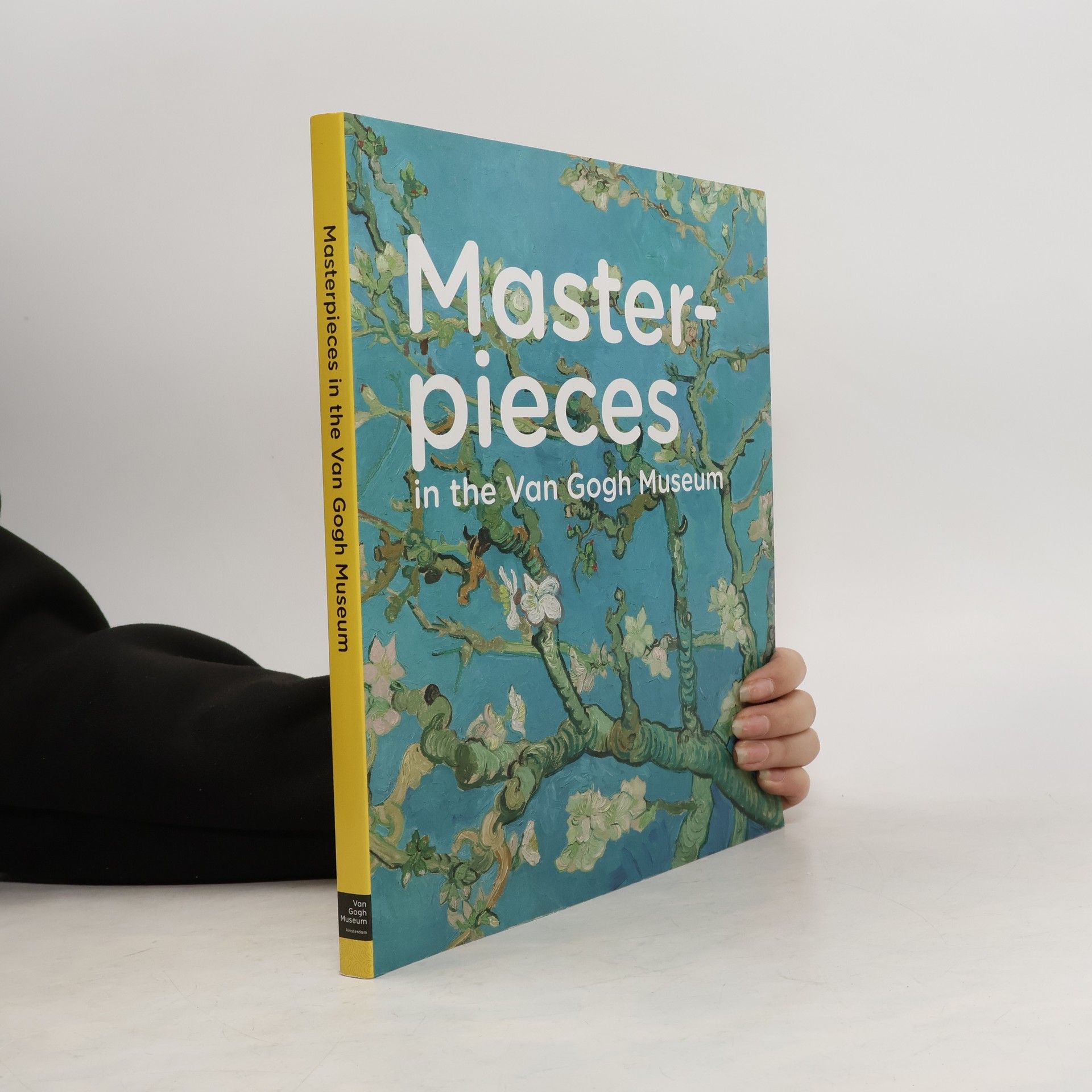 Collectif d'auteurs Masterpieces in the Van Gogh Museum