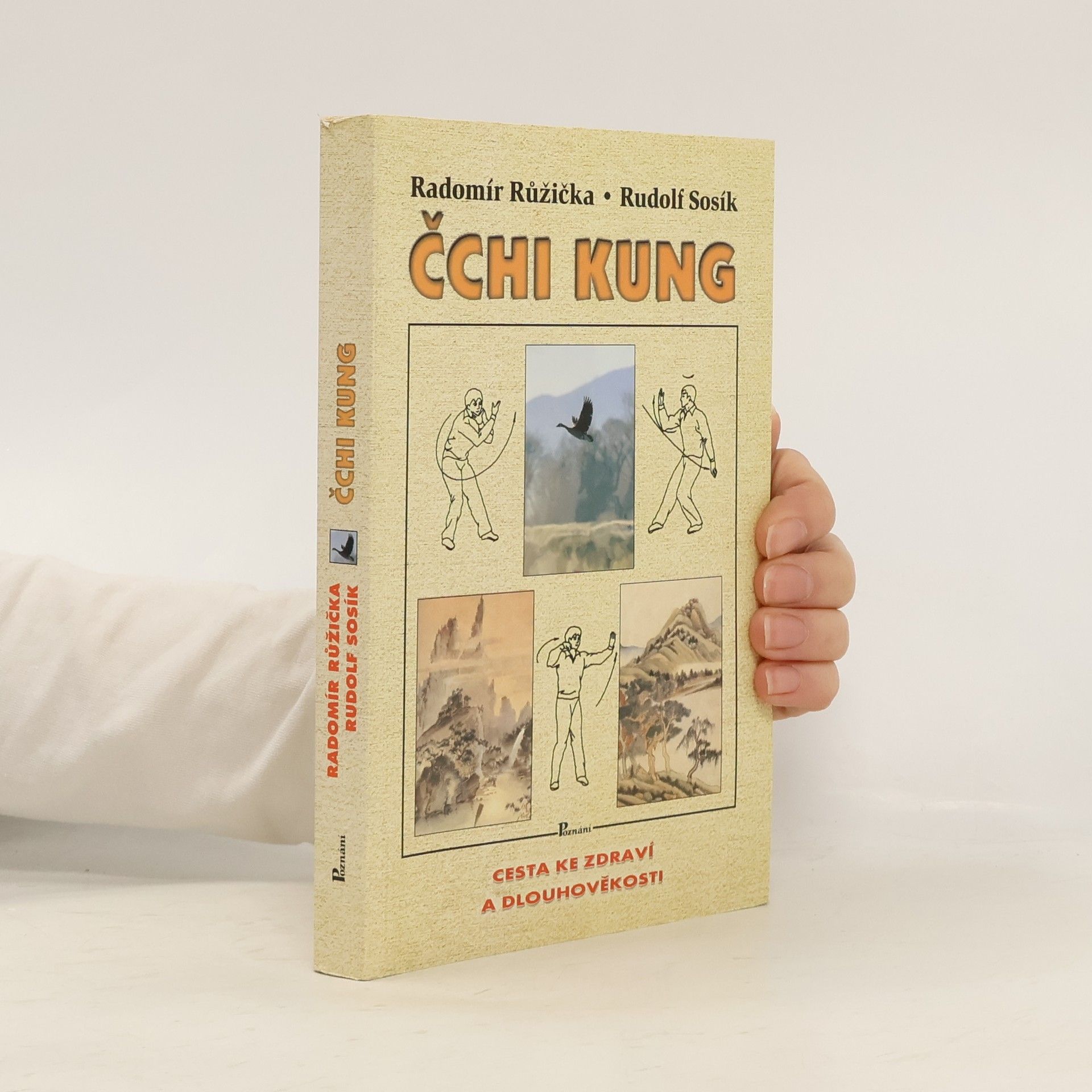 Čchi kung : cesta ke zdraví a dlouhověkosti