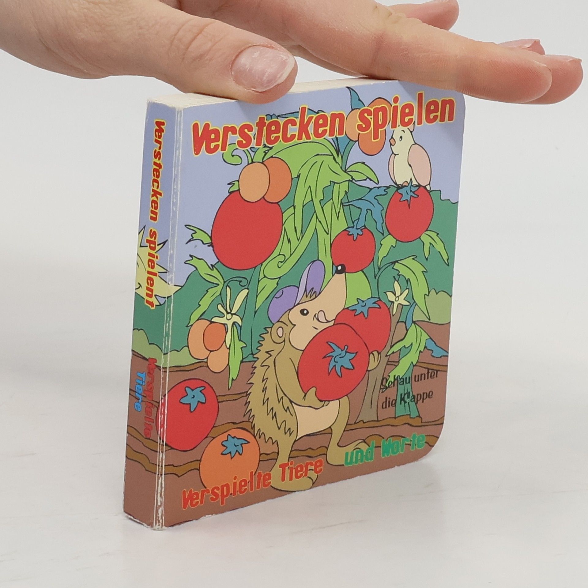 Collectif d'auteurs Verstecken spielen