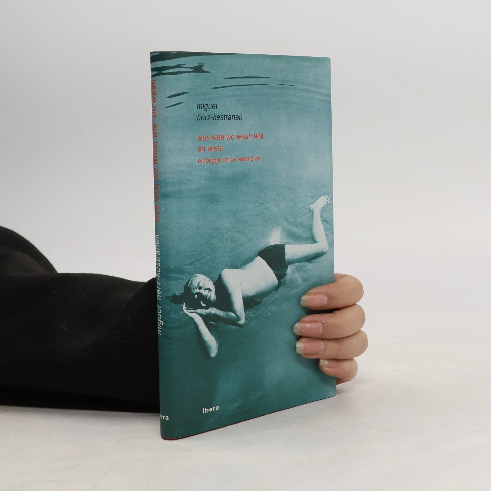 Wos wea wo waun wia en Wean. Einbligge en de Weana Sö