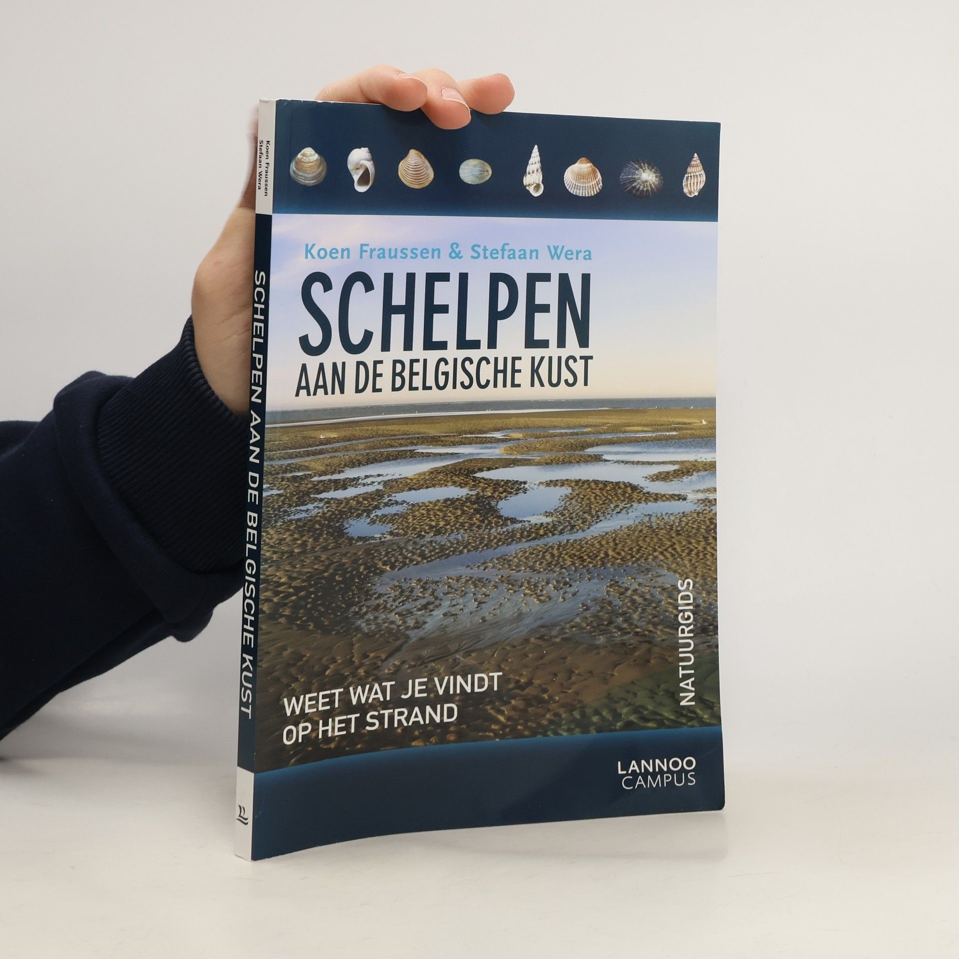 Koen Fraussen Natuurgids: Schelpen aan de Belgische kust