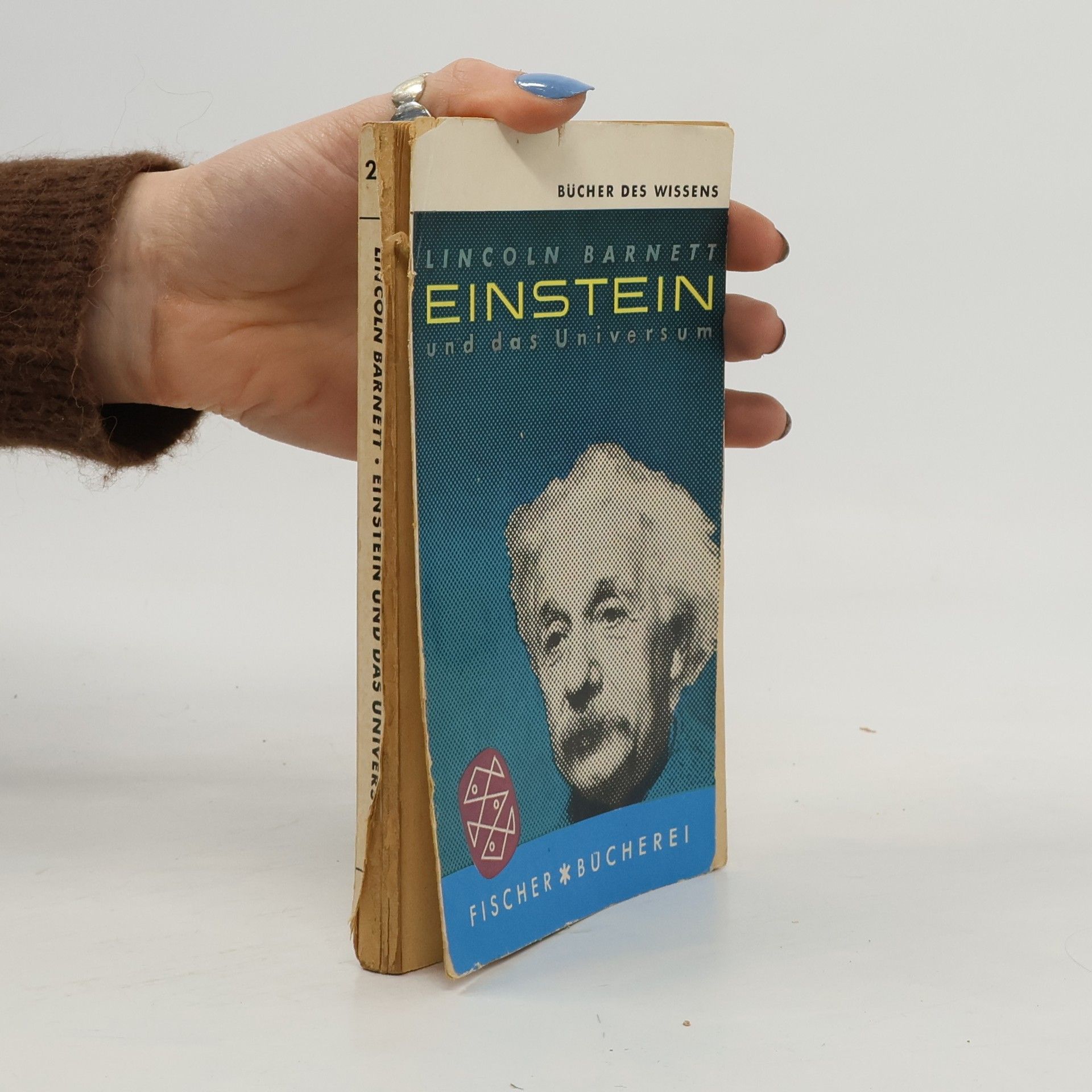 Einstein und das Universum