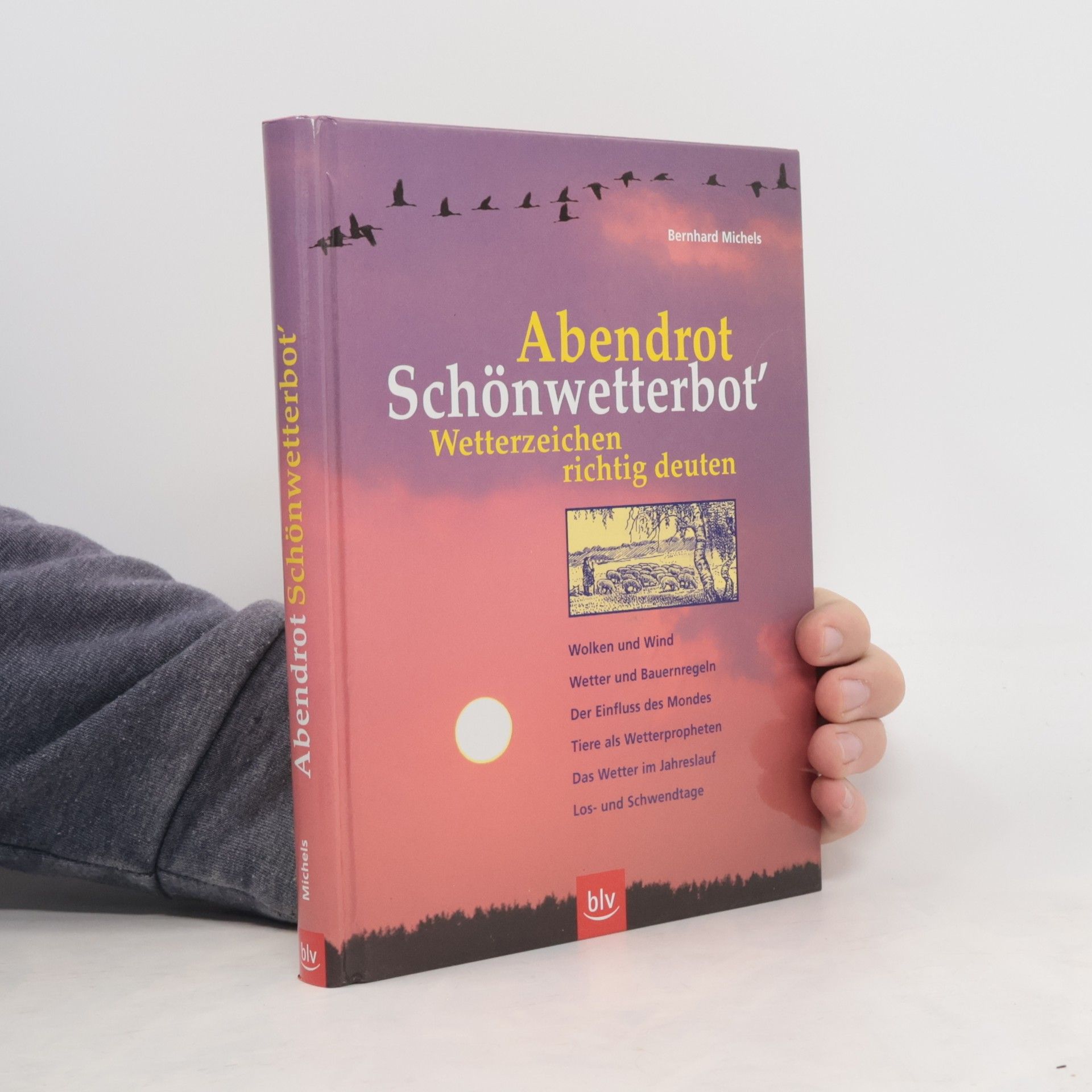 Bernhard Michels Abendrot Schönwetterbot'