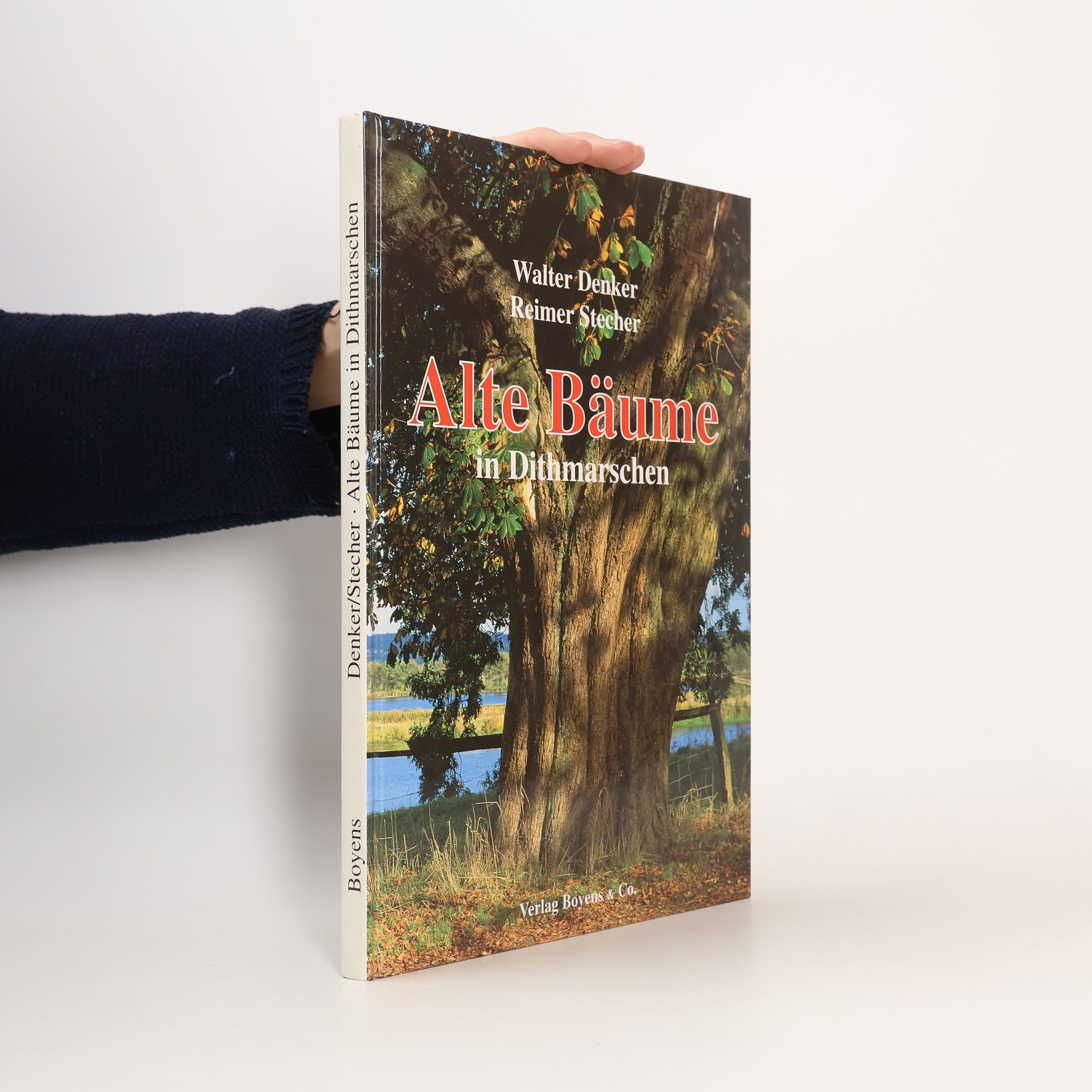 Walter Denker Alte Bäume in Dithmarschen