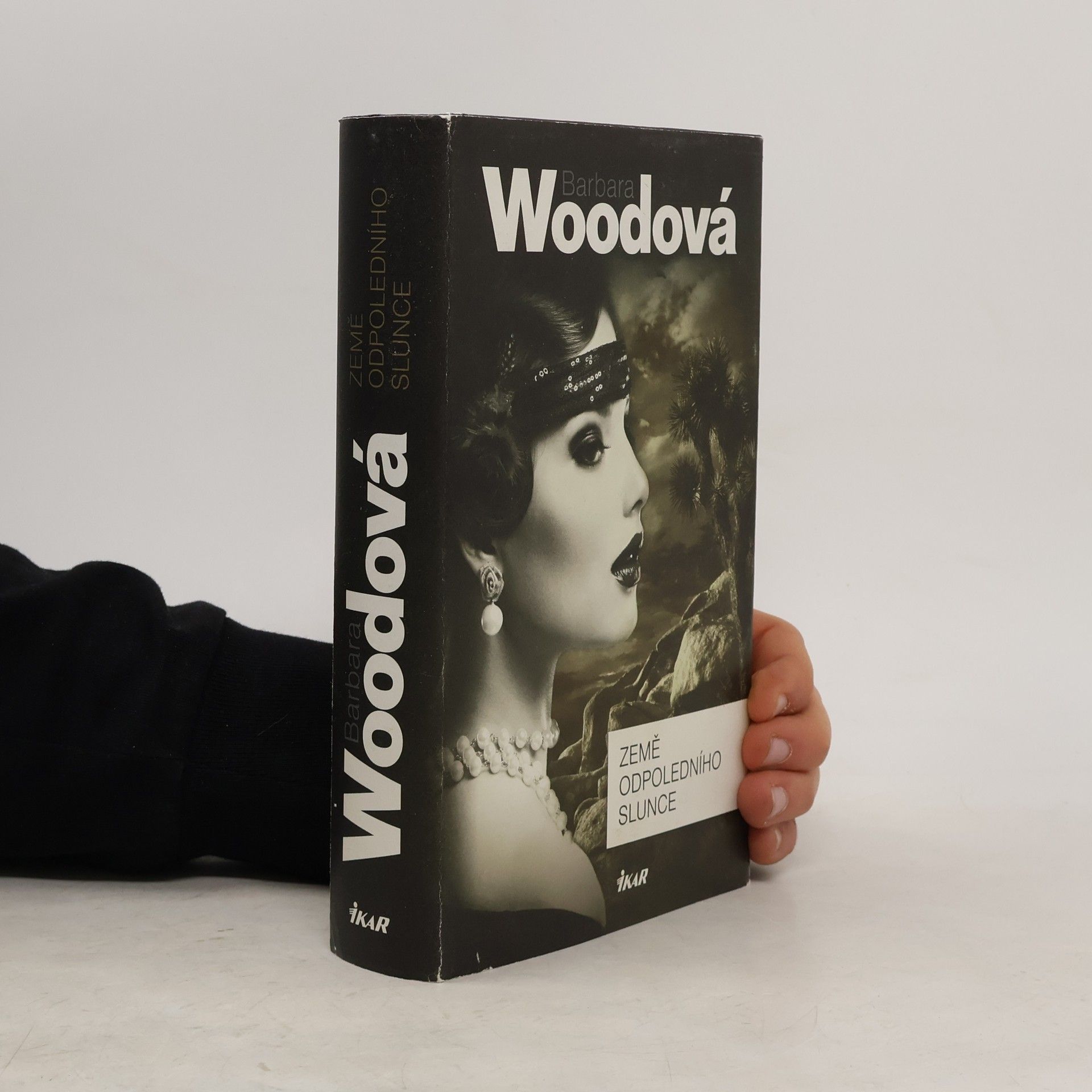 Barbara Wood Země odpoledního slunce