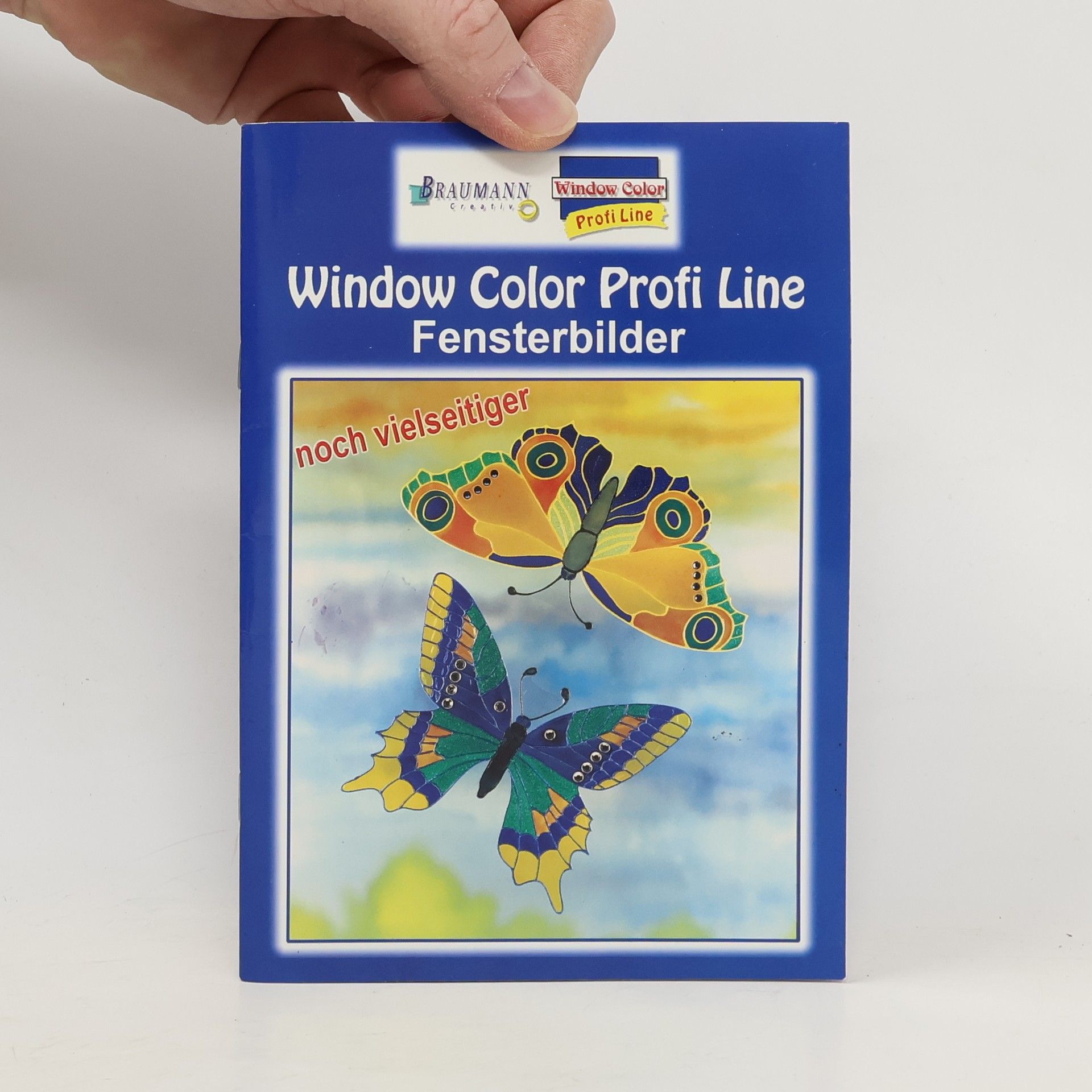 Collectif d'auteurs Window Color Profi Line. Fensterbilder