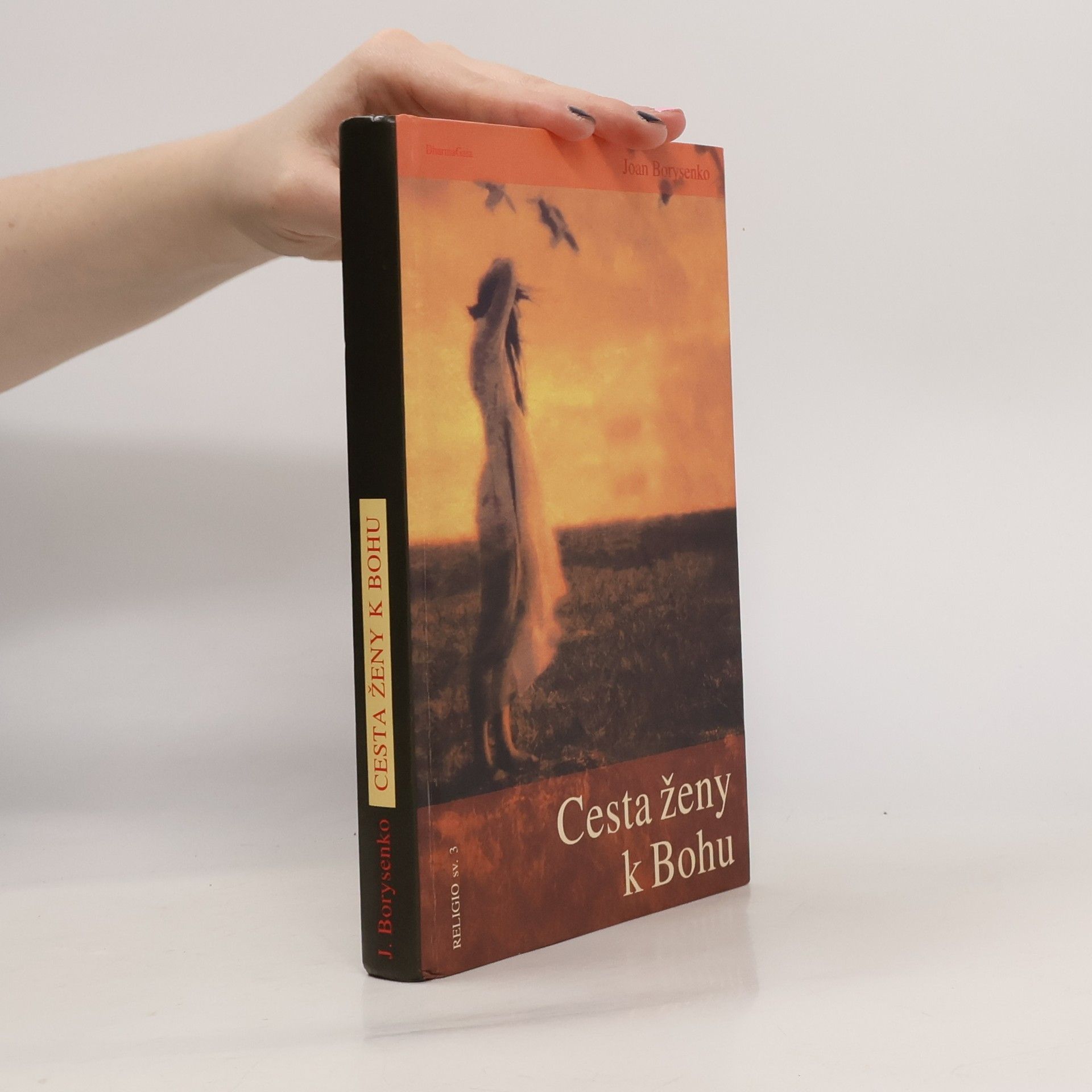 Joan Borysenko Cesta ženy k Bohu