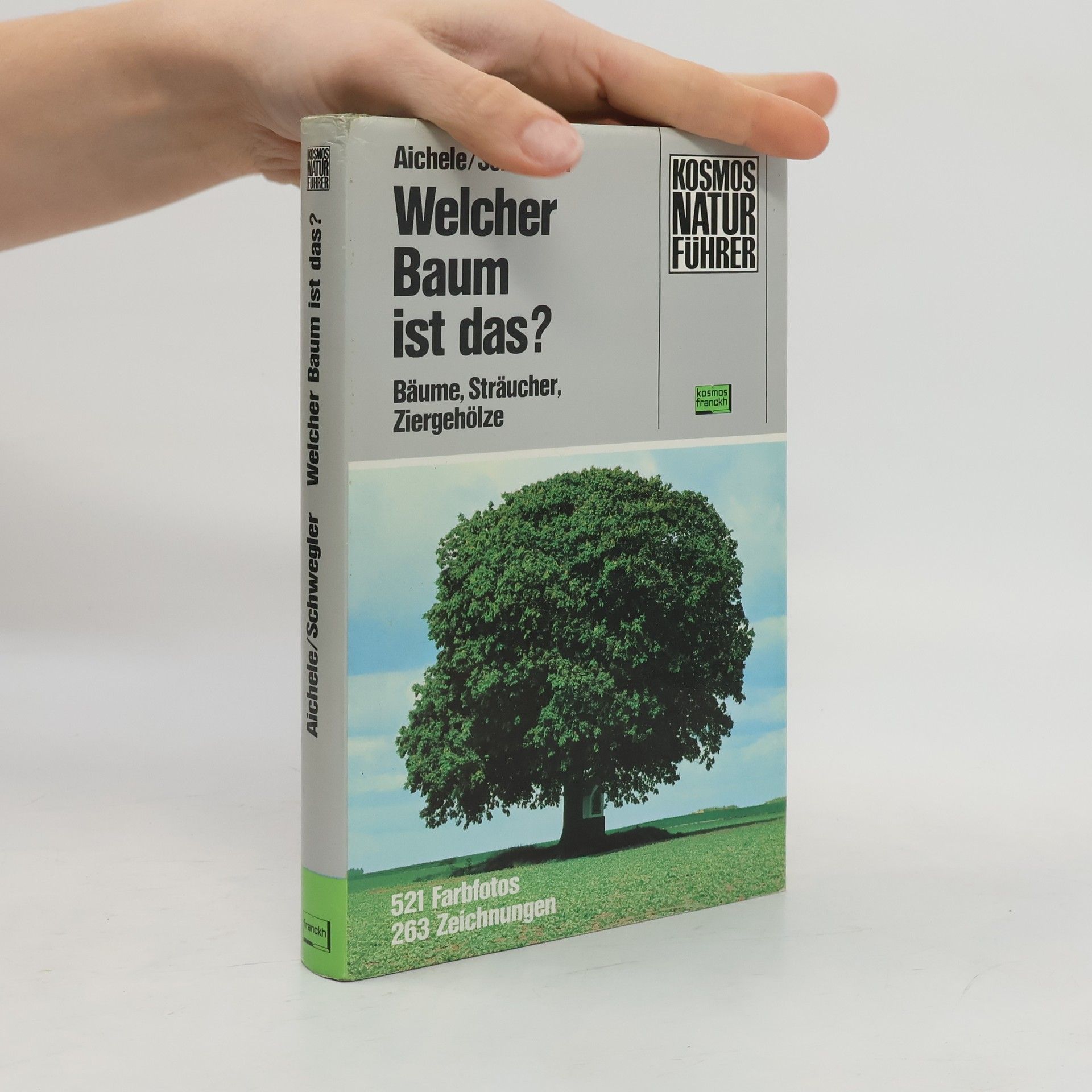 Welcher Baum ist das?