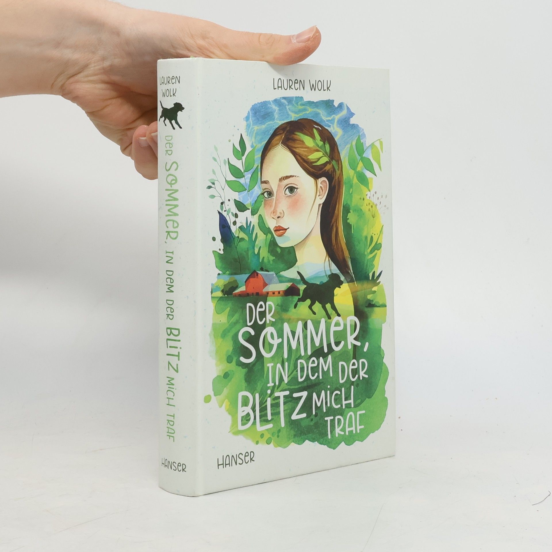 Der Sommer, in dem der Blitz mich traf