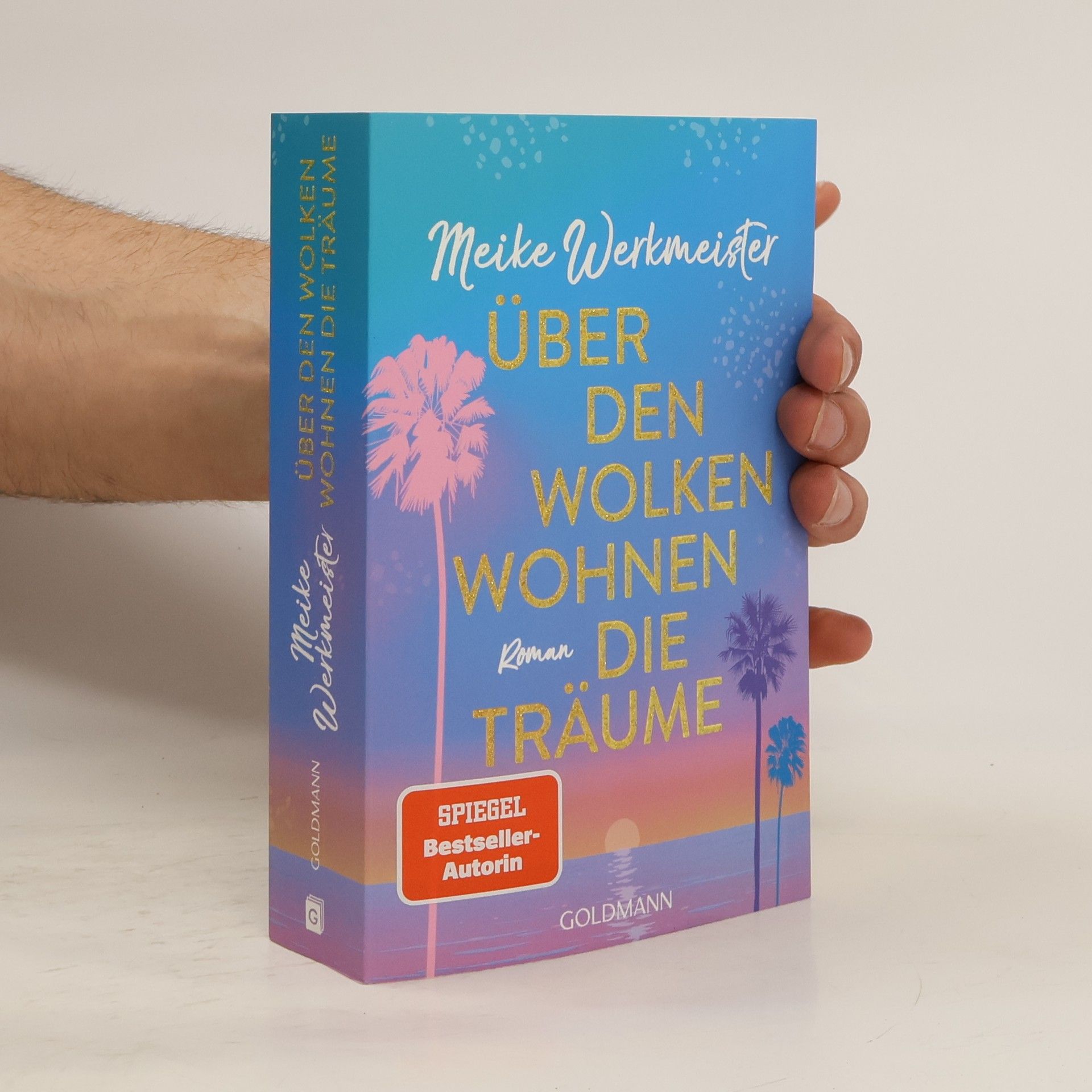 Meike Werkmeister Über den Wolken wohnen die Träume