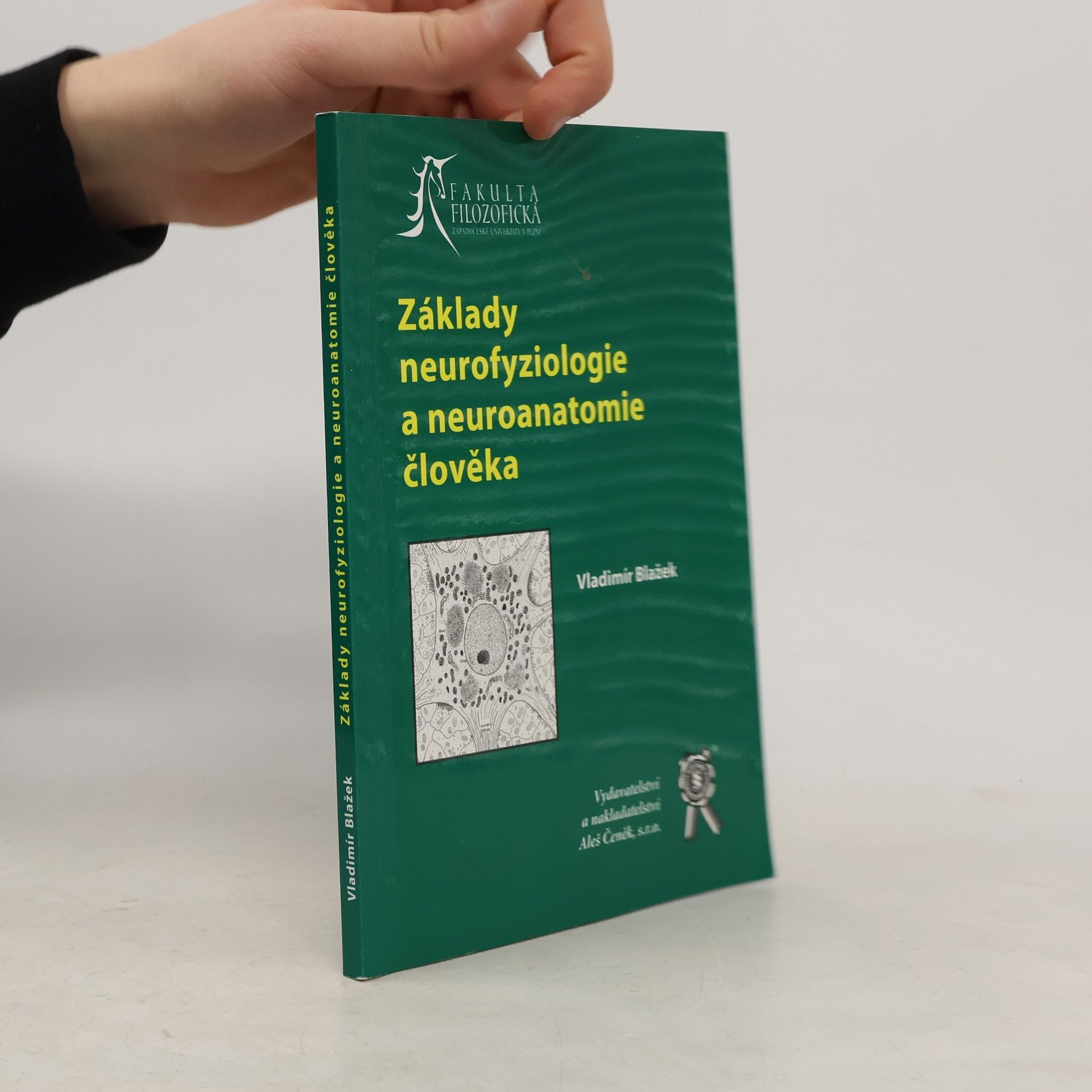 Základy neurofyziologie a neuroanatomie člověka