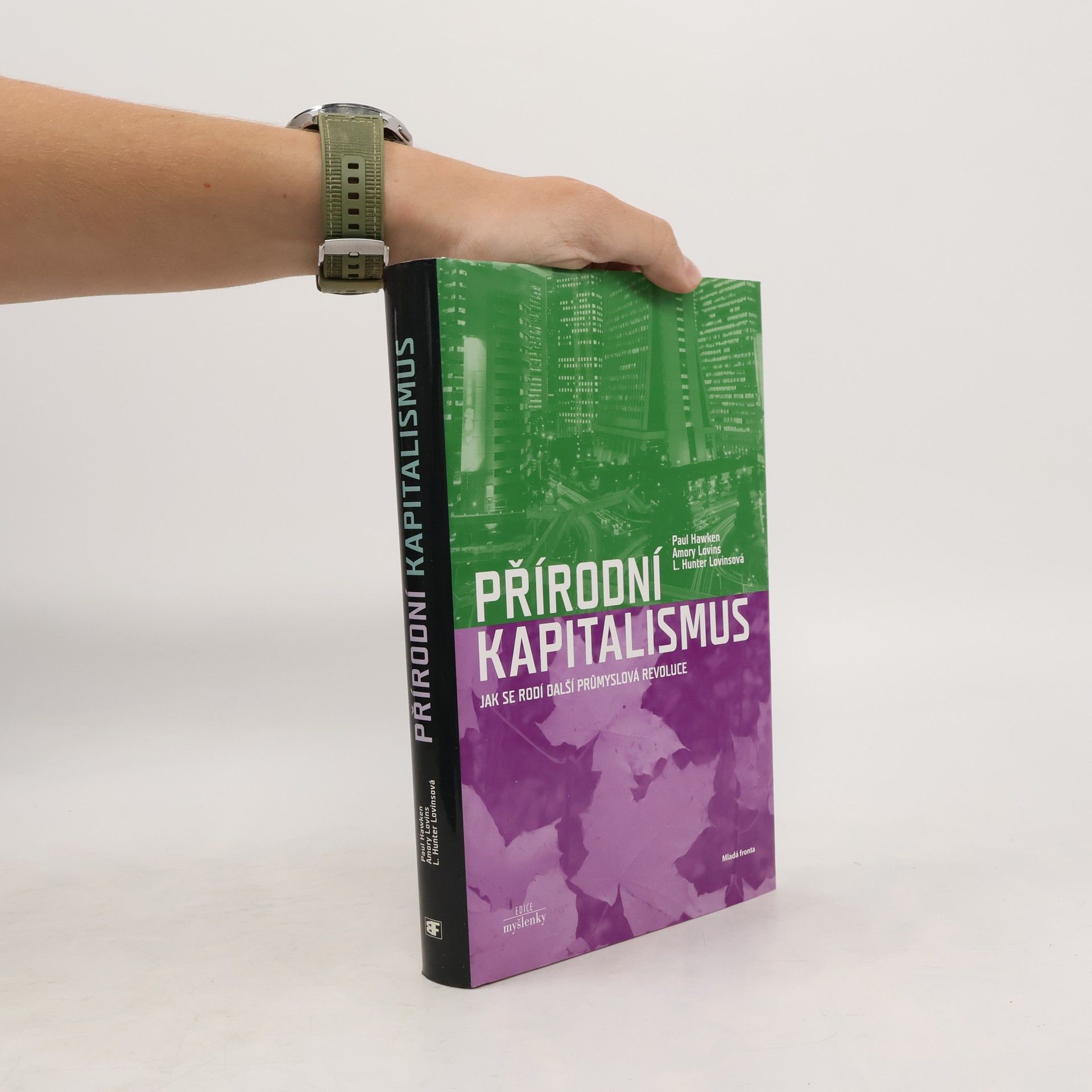 Paul Hawken Přírodní kapitalismus. Jak se rodí další průmyslová revoluce