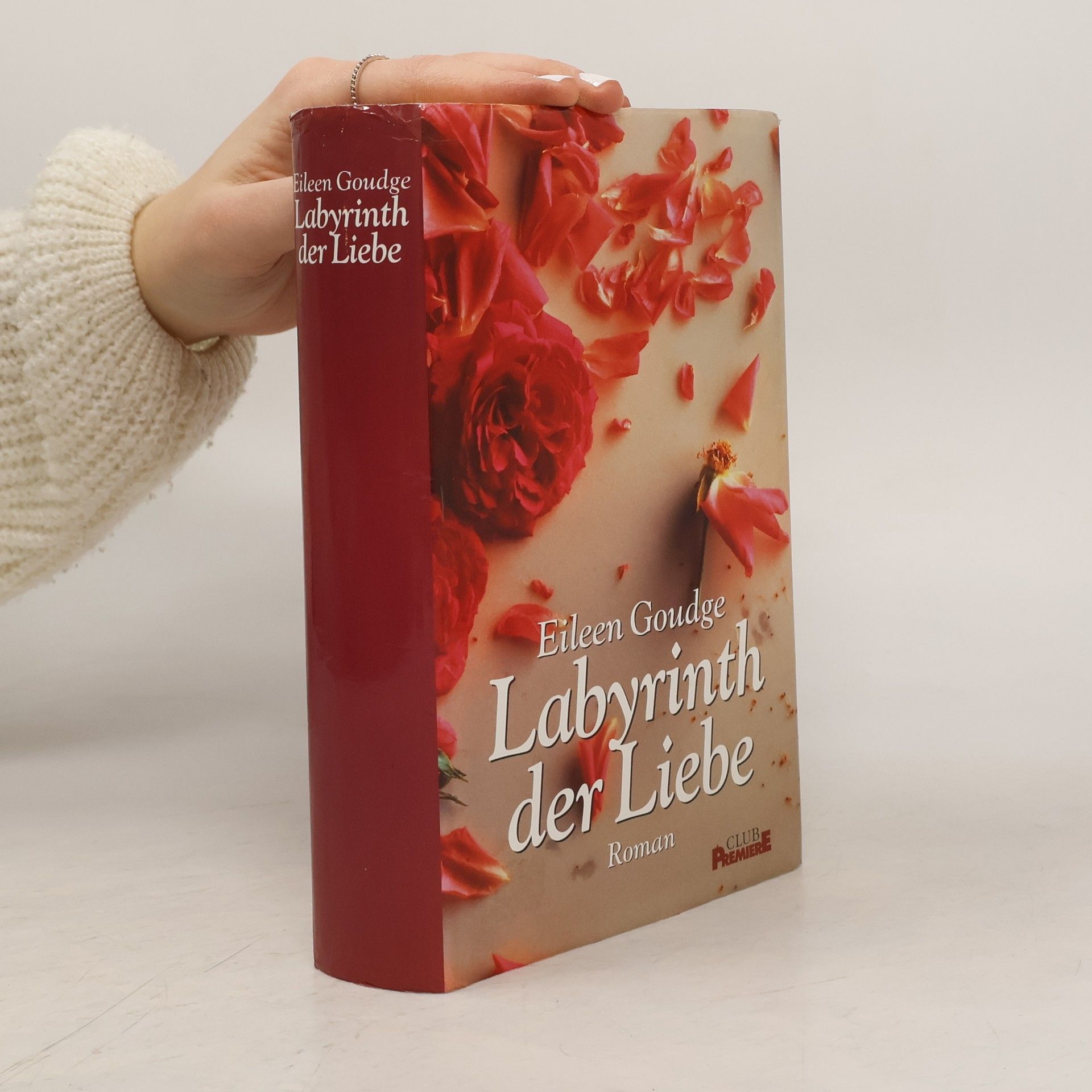 Eileen Goudge Labyrinth der Liebe