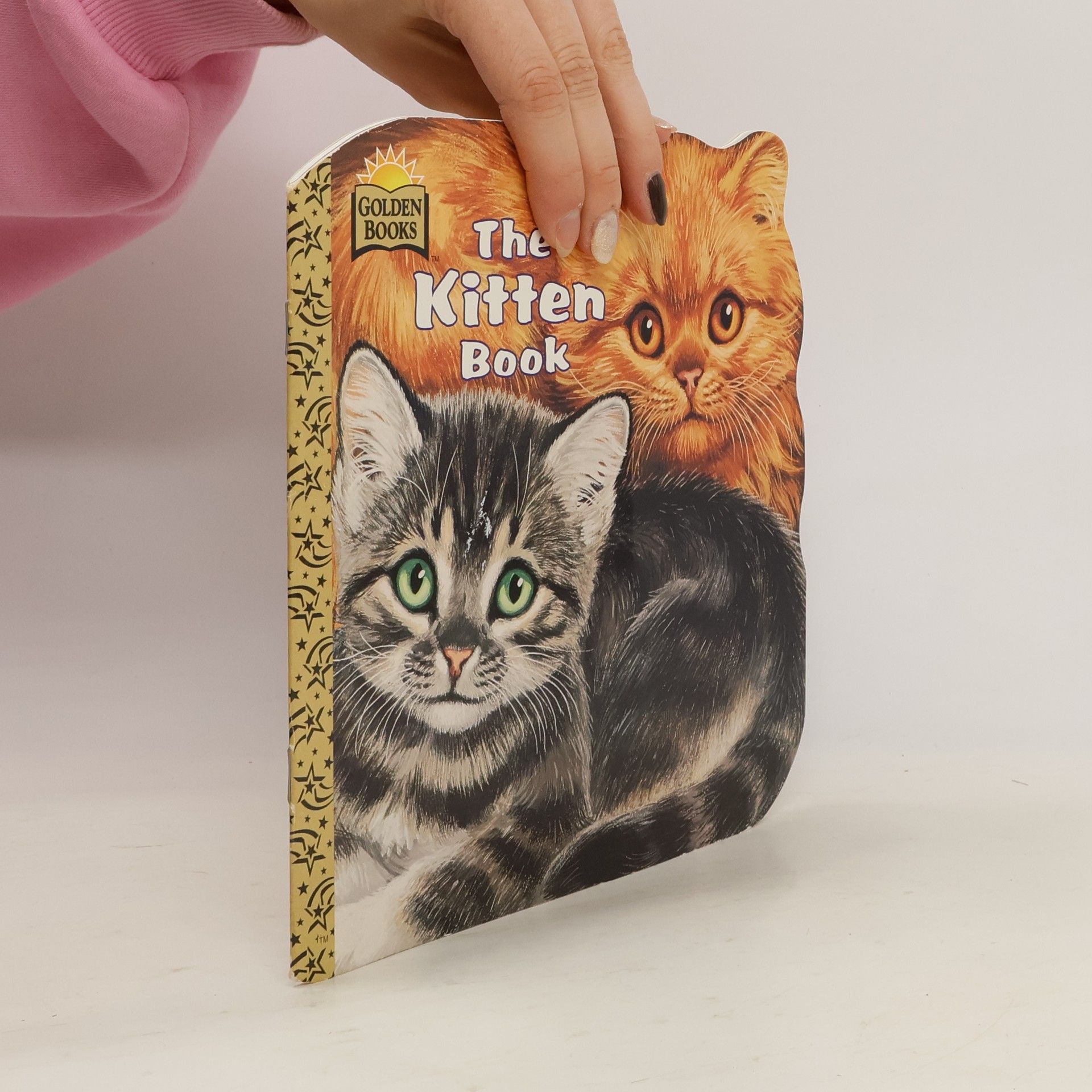 Jan Pfloog The Kitten Book