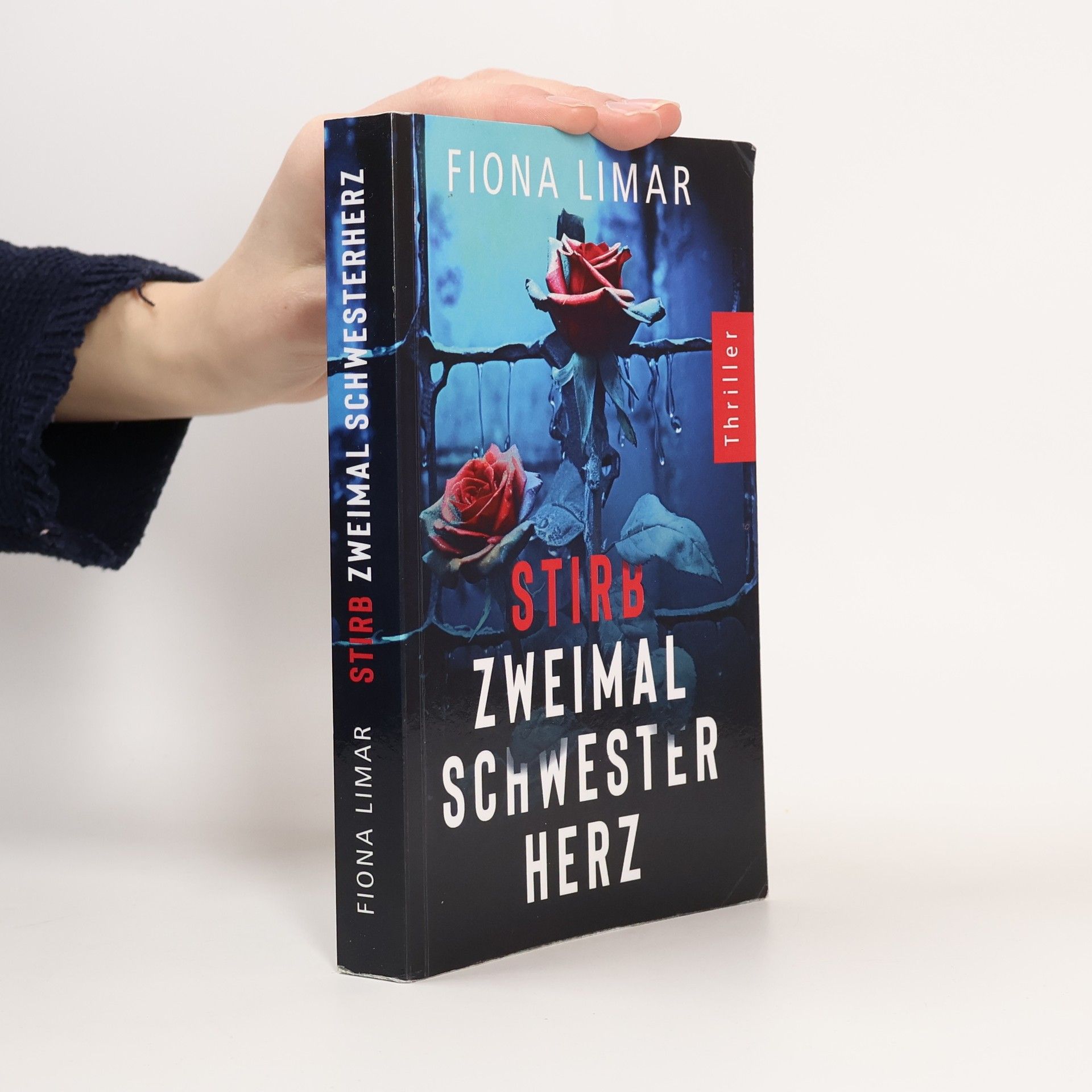 Psychiatrie-Thriller: Stirb zweimal, Schwesterherz