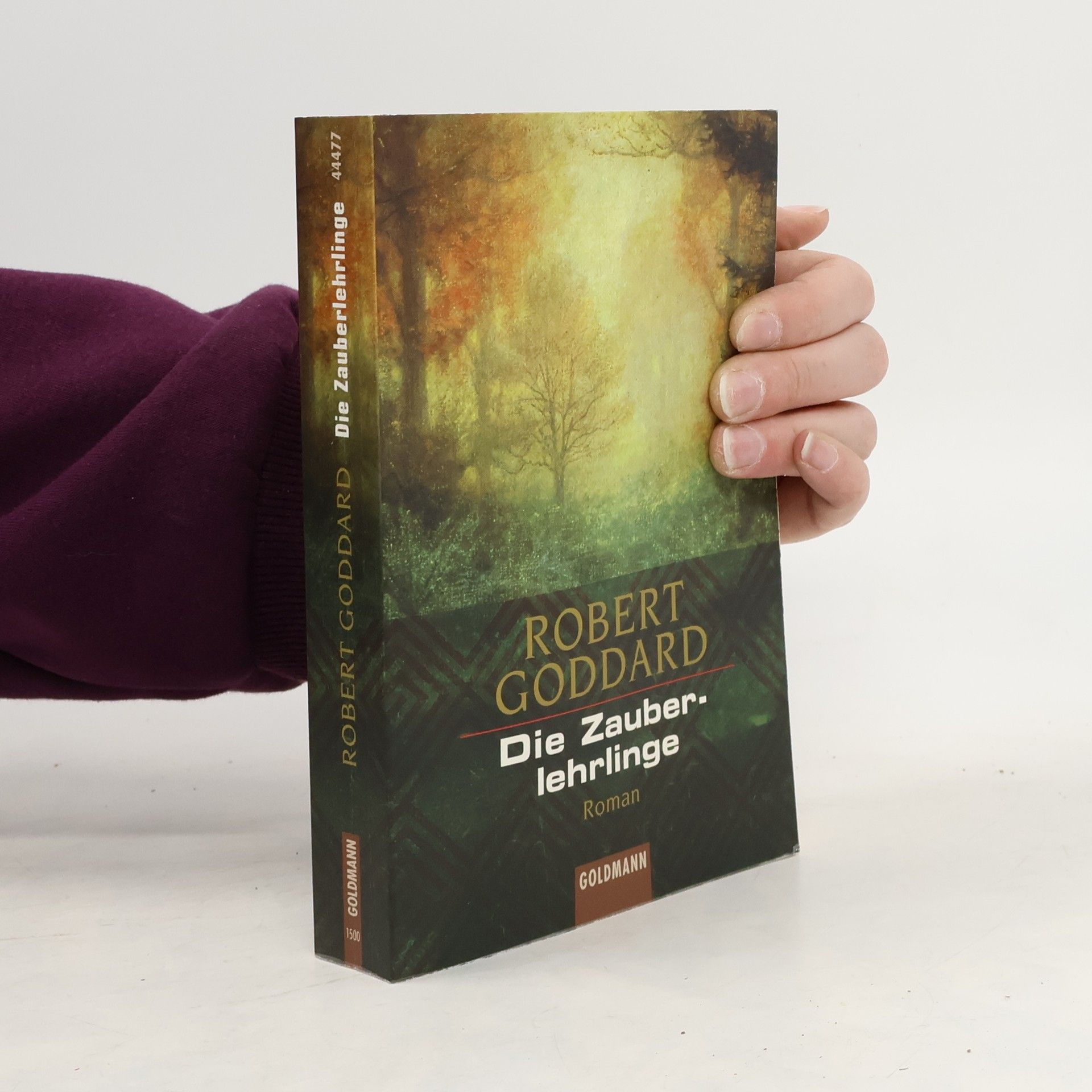 Robert Goddard Die Zauberlehrlinge