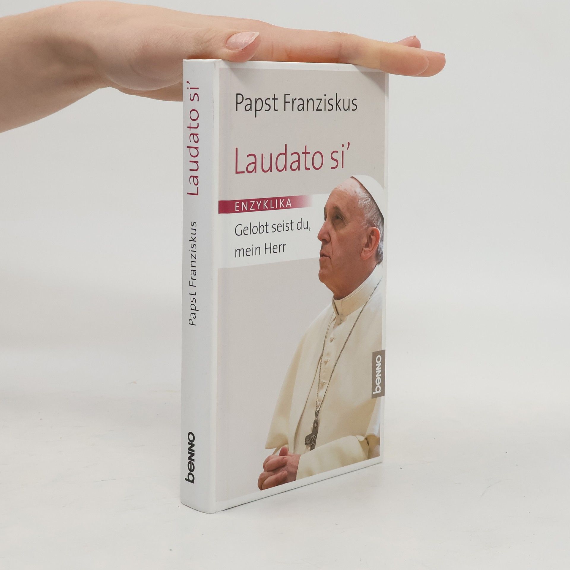 Papež František Laudato si' : Gelobt seist du, mein Herr