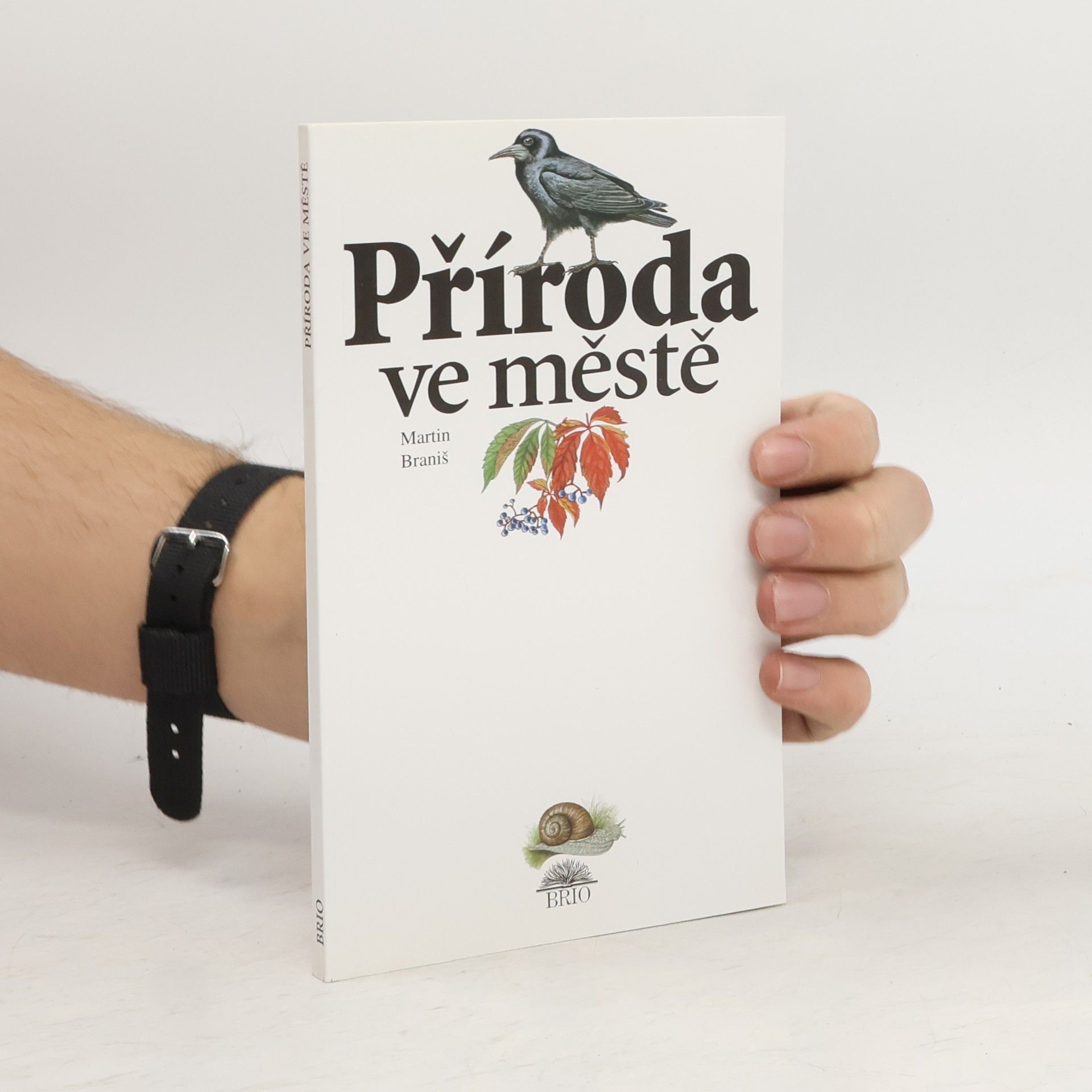 Příroda ve městě