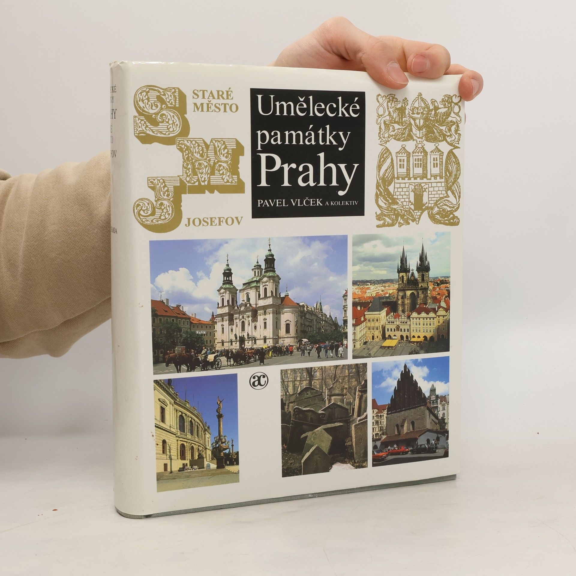 Pavel Vlček Umělecké památky Prahy. Staré město - Josefov.