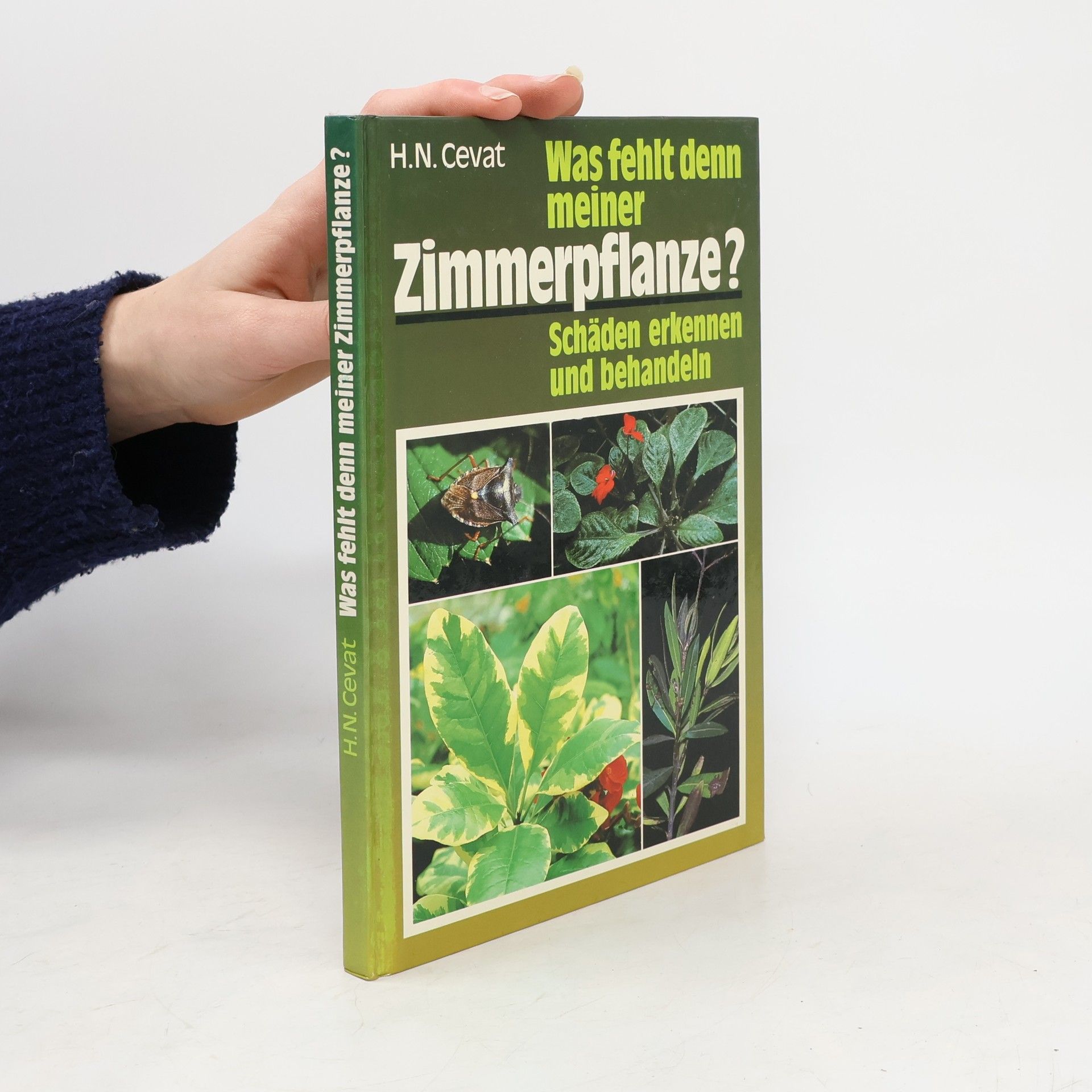 Hendrik Nicolaas Cevat Was fehlt denn meiner Zimmerpflanze?