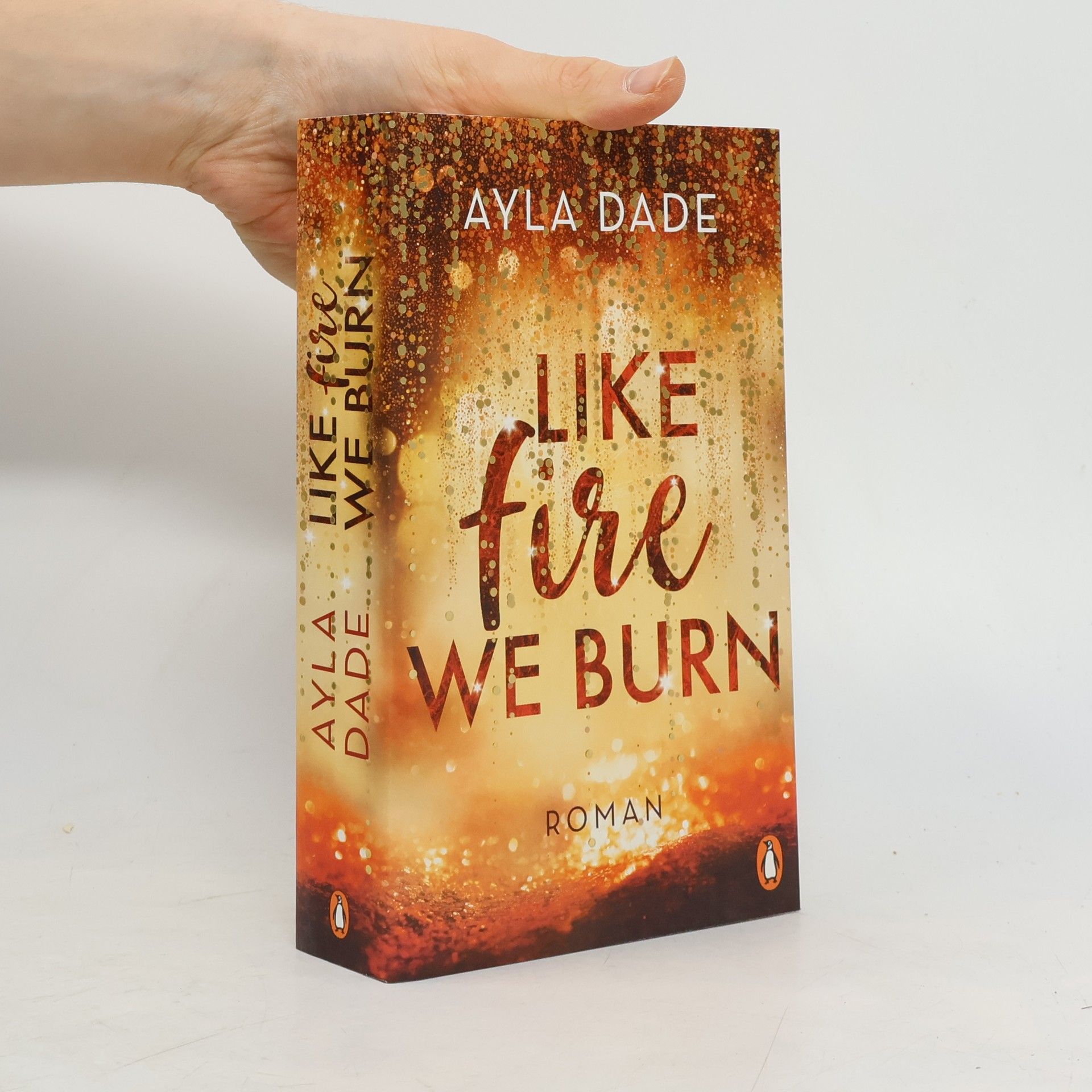 Ayla Dade Like Fire We Burn