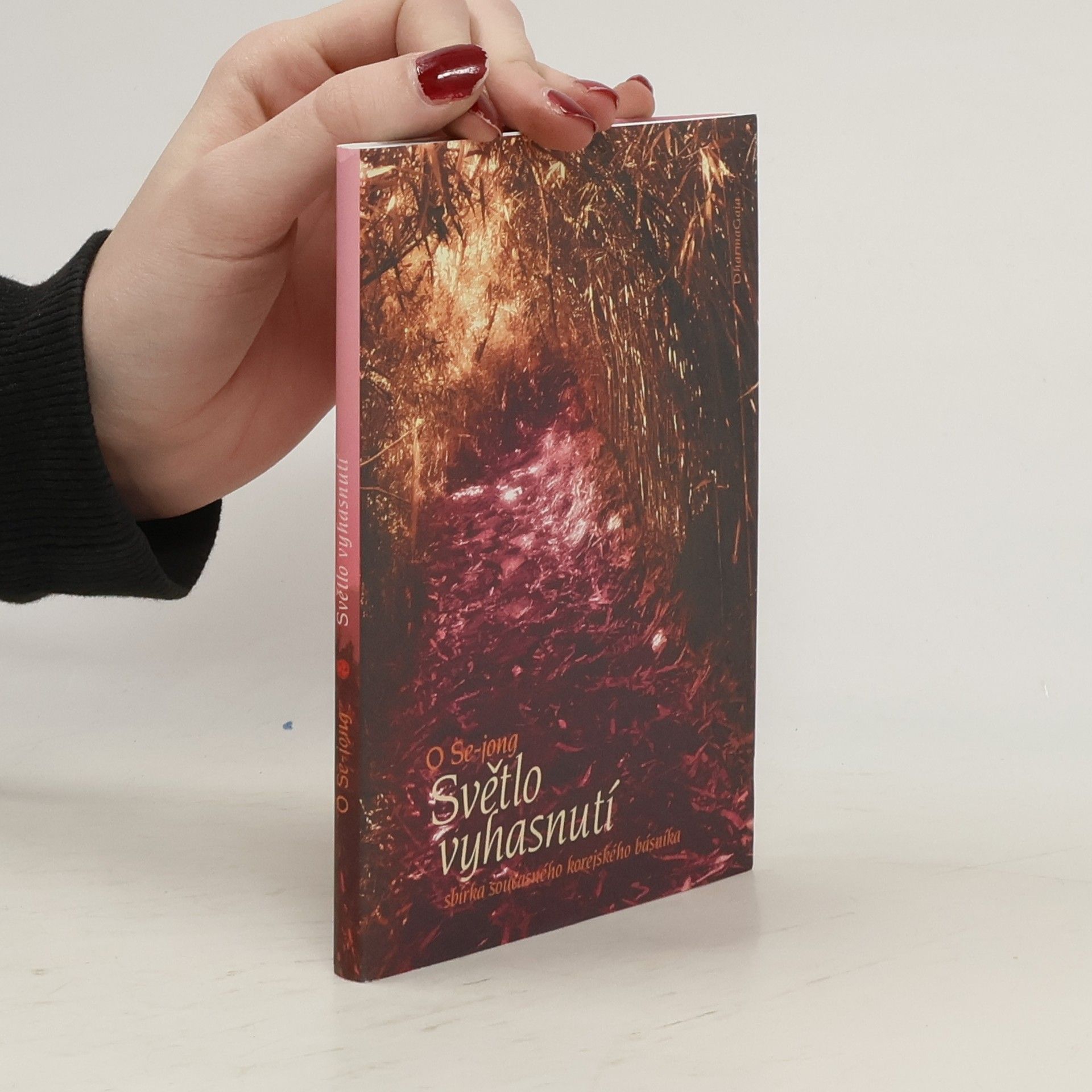 O. Sejöng Světlo vyhasnutí