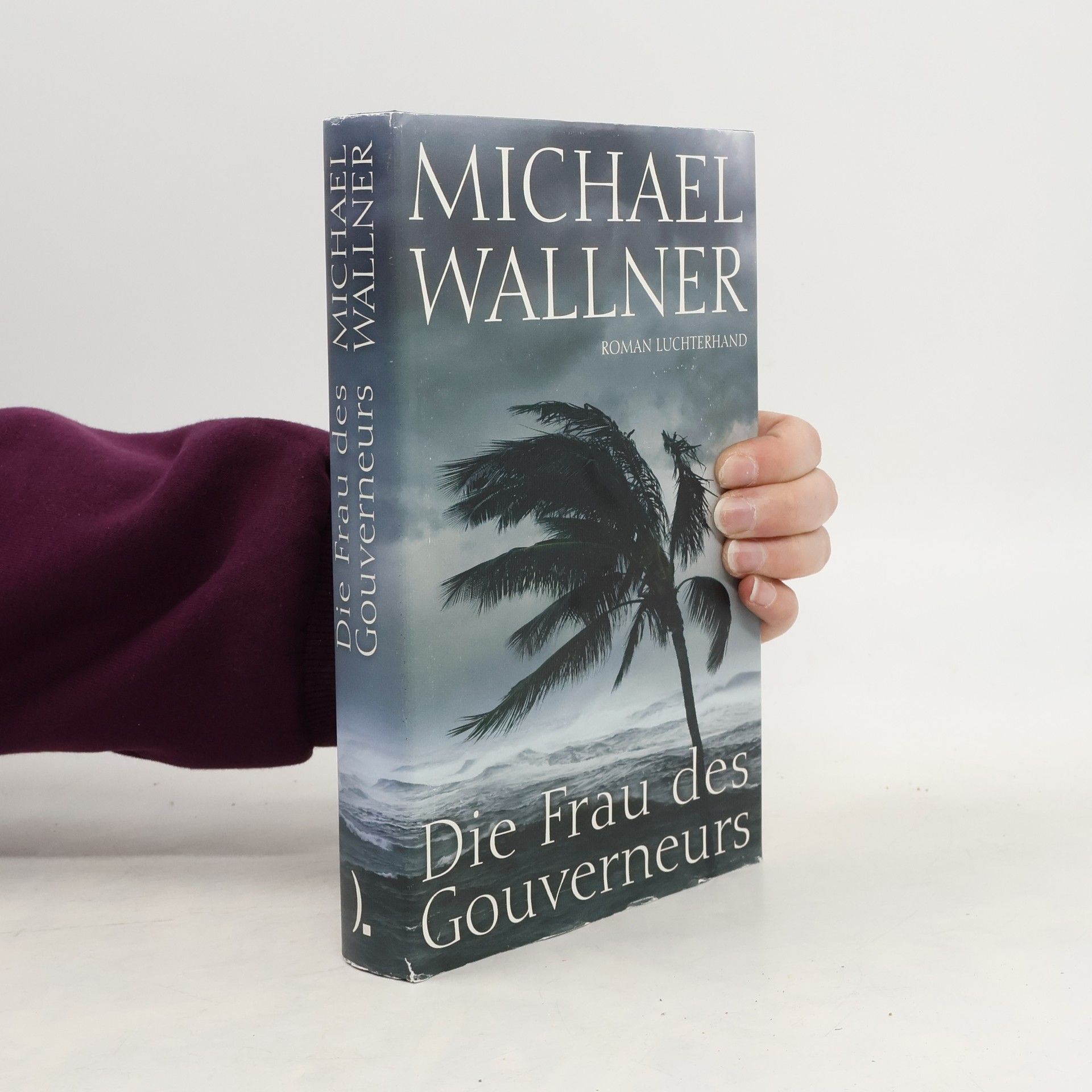 Michael Wallner Die Frau des Gouverneurs