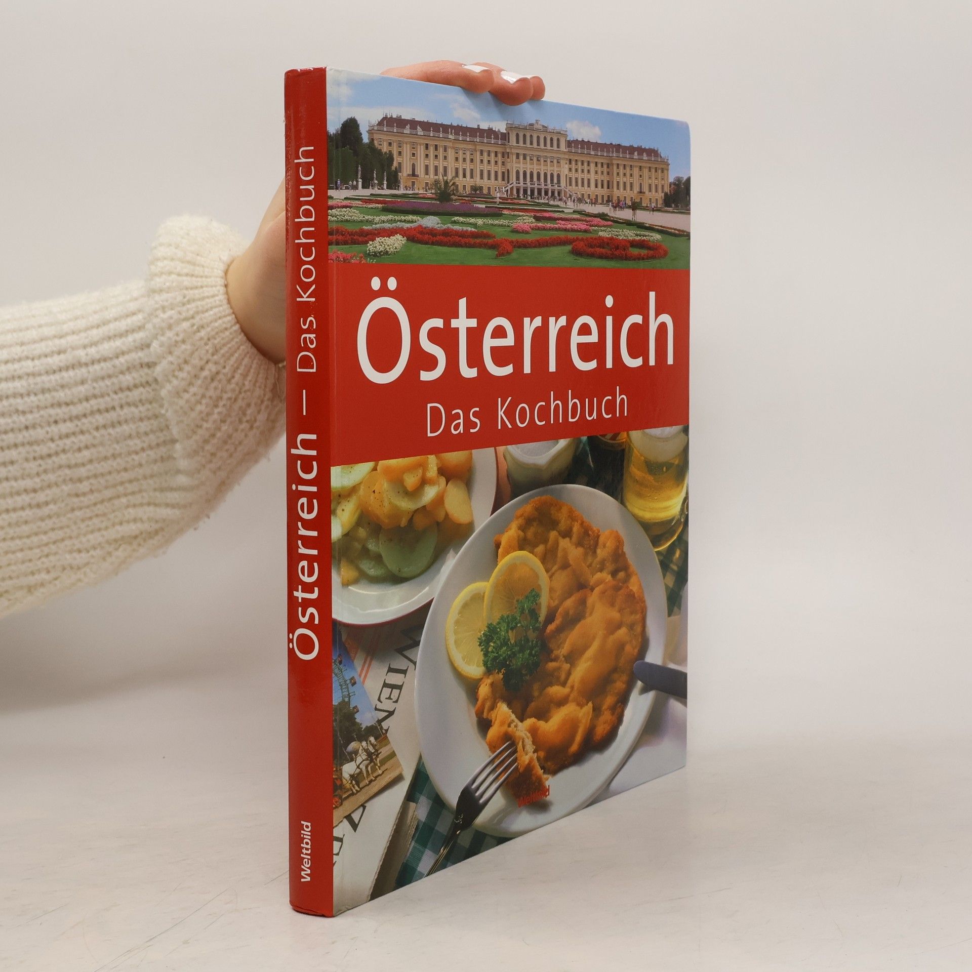 Kolektiv autorů Österreich - das Kochbuch