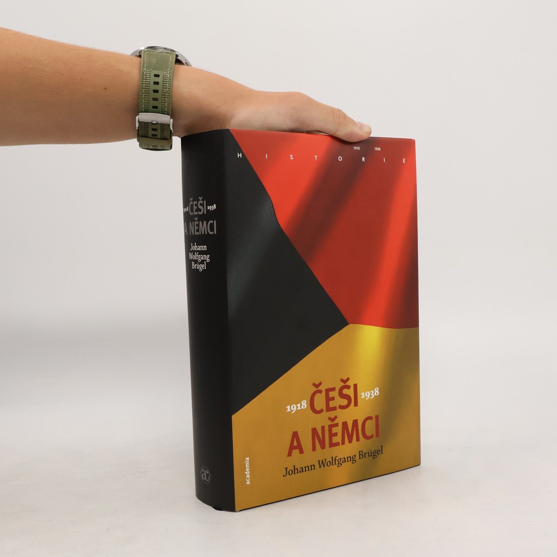 Johann Wolfgang Brügel Češi a Němci 1918-1938