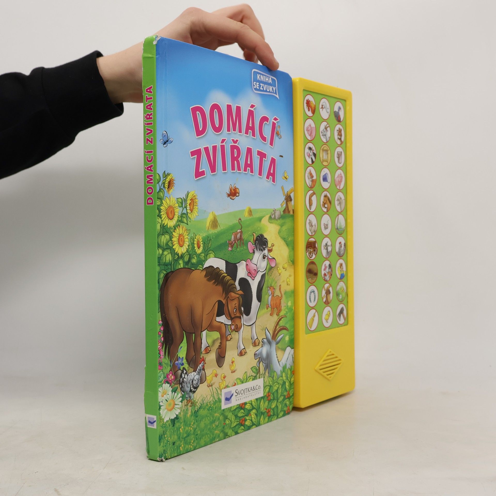 Collectif d'auteurs Domácí zvířata : kniha se zvuky