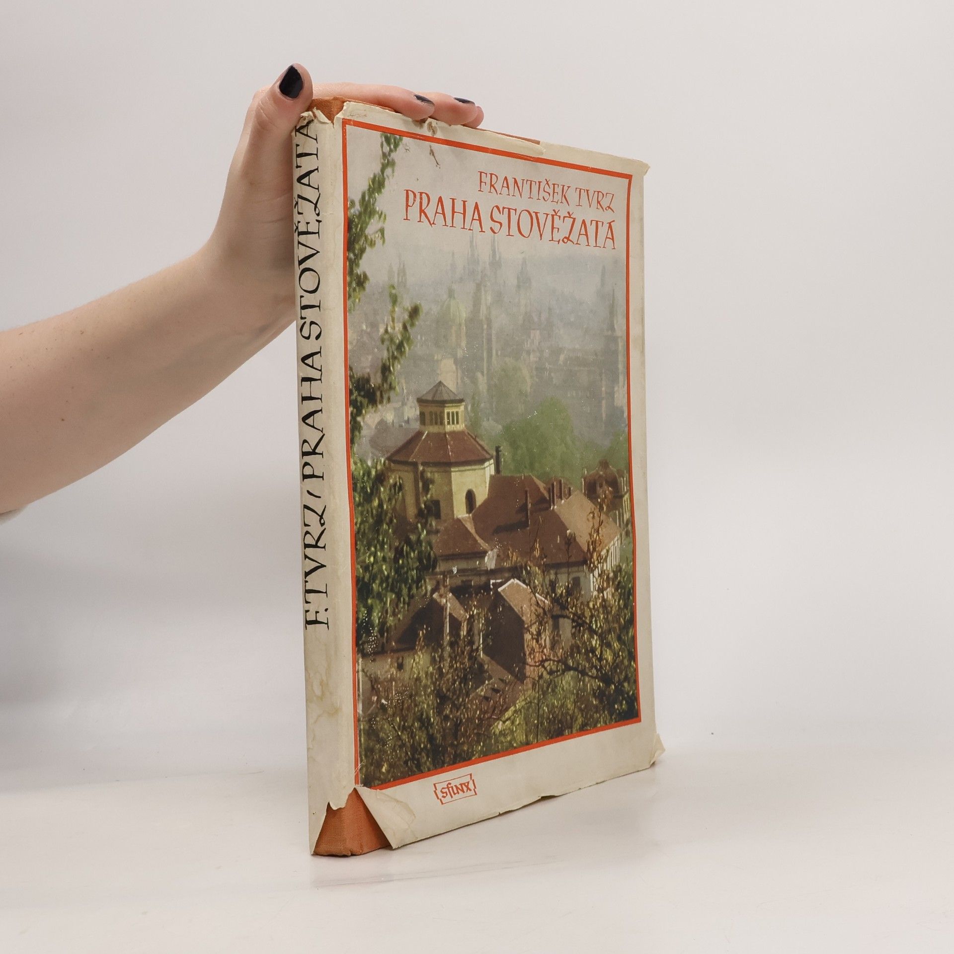 František Tvrz Praha stověžatá. Umělecký záběr významných pražských památek