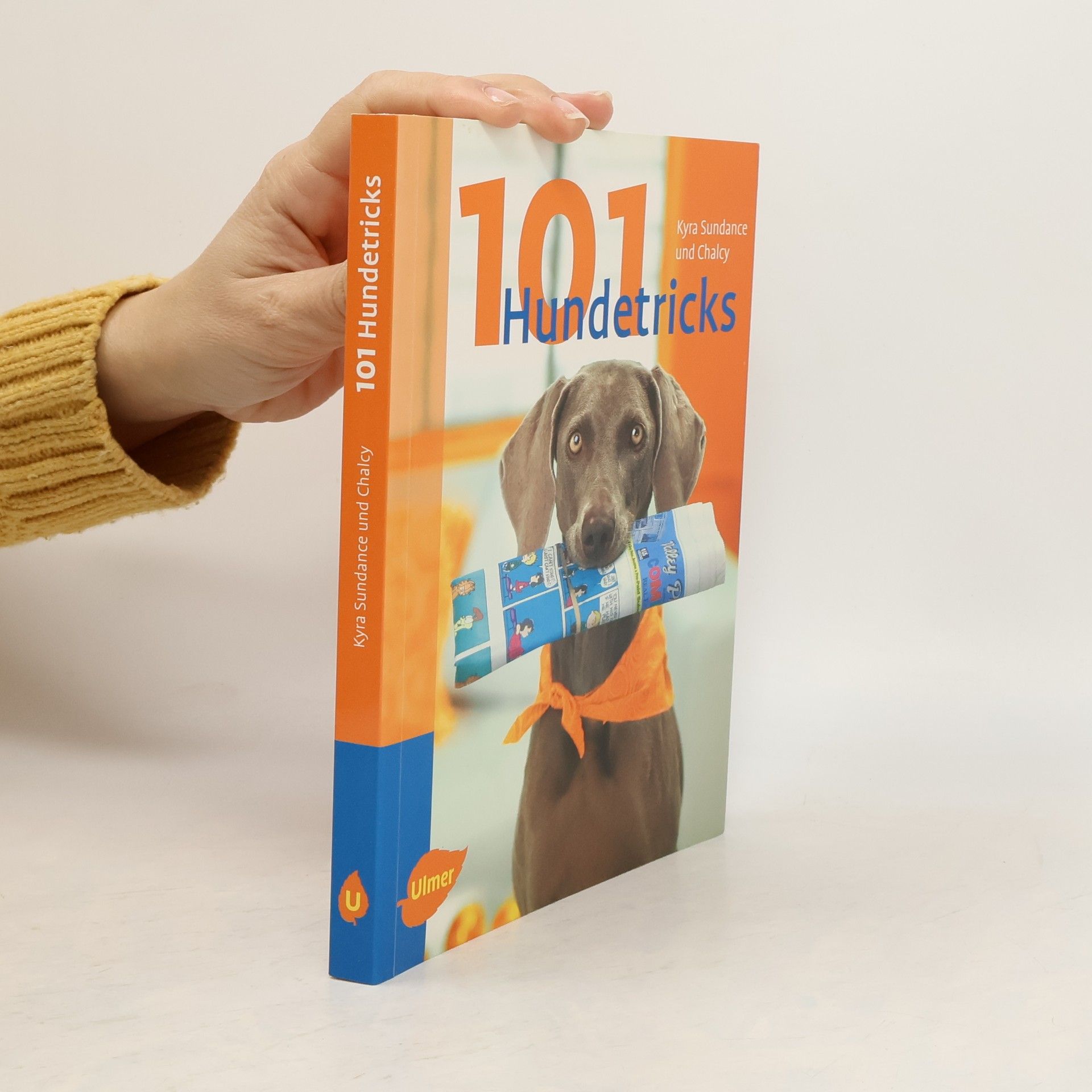 Kyra Sundance 101 Hundetricks