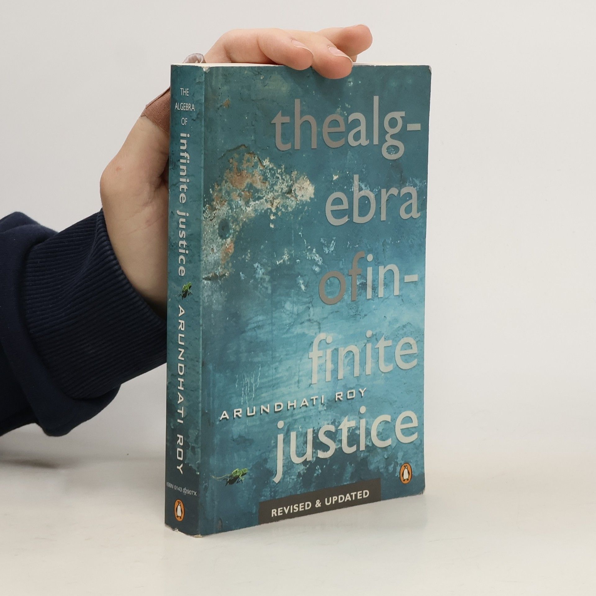 Arundhati Roy The Algebra of Infinite Justice