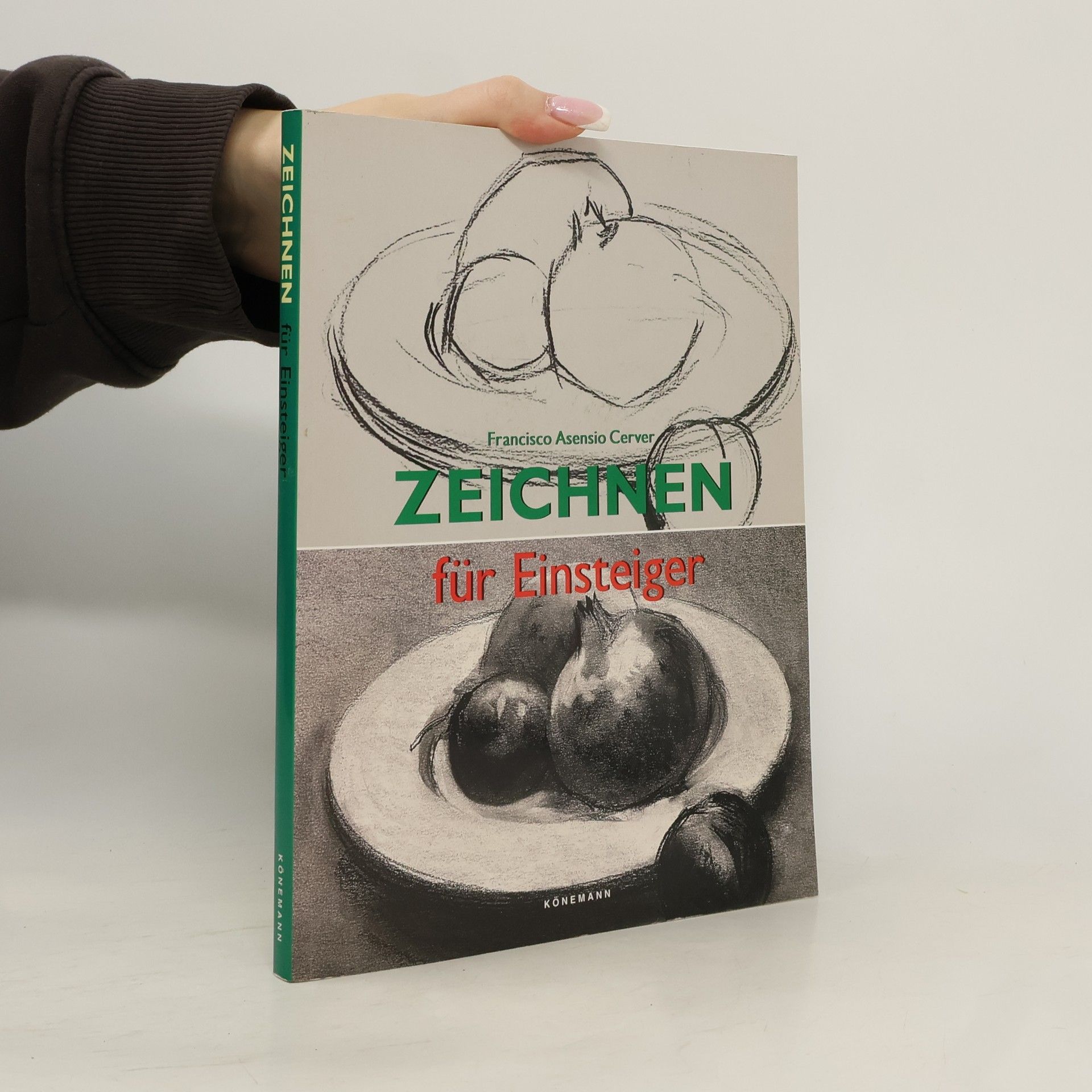 Francisco Asensio Cerver Zeichnen für Einsteiger