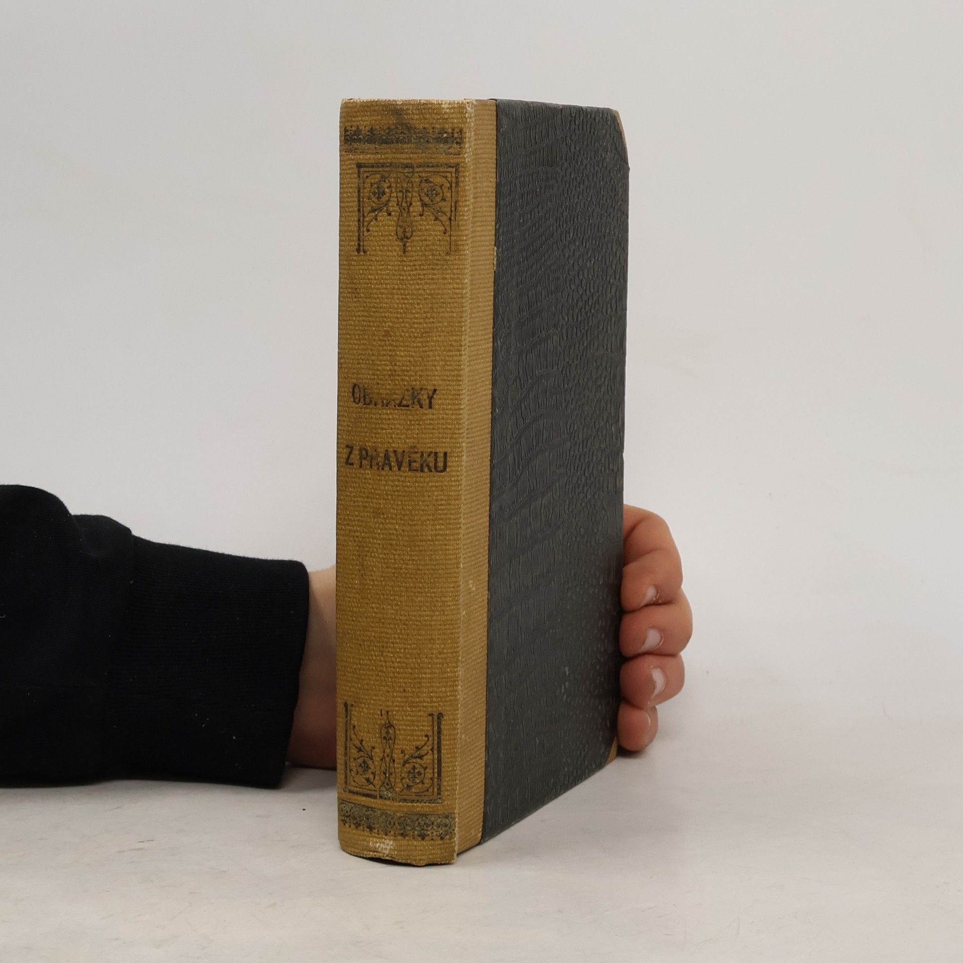 Obrázky z Pravěku Země České