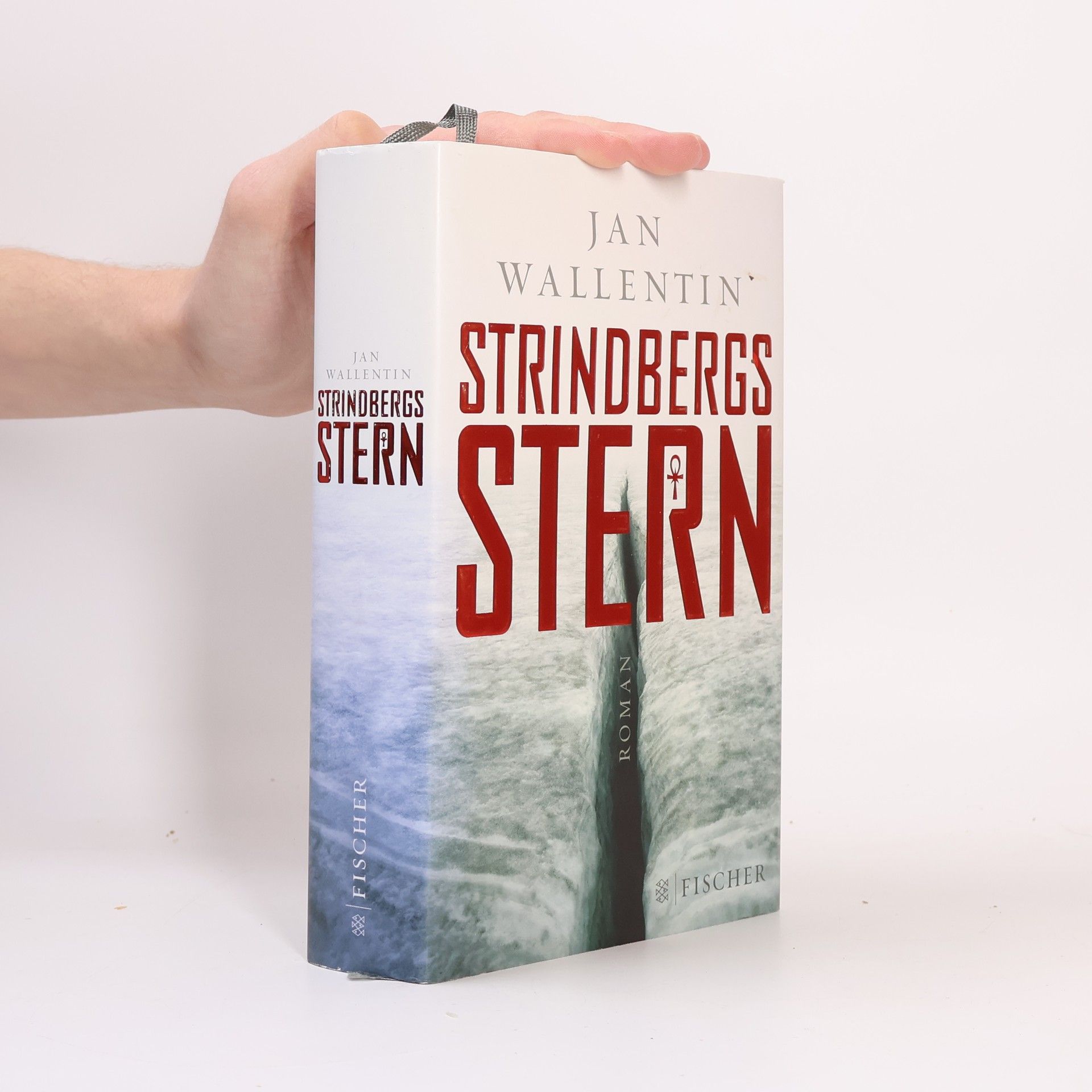 Jan Wallentin Strindbergs Stern