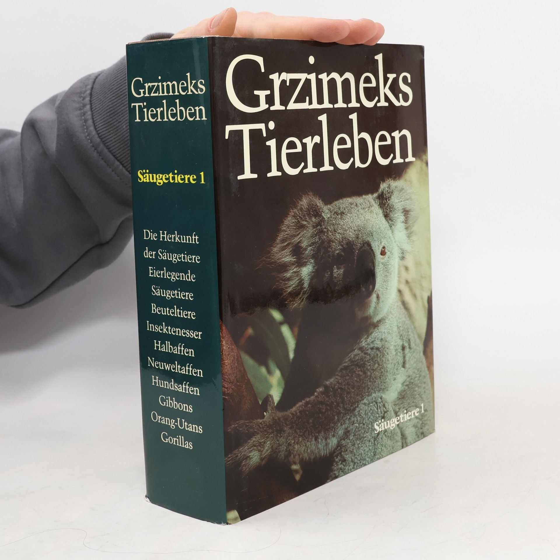 Autorenkollektiv Grzimeks Tierleben. Säugetiere 1