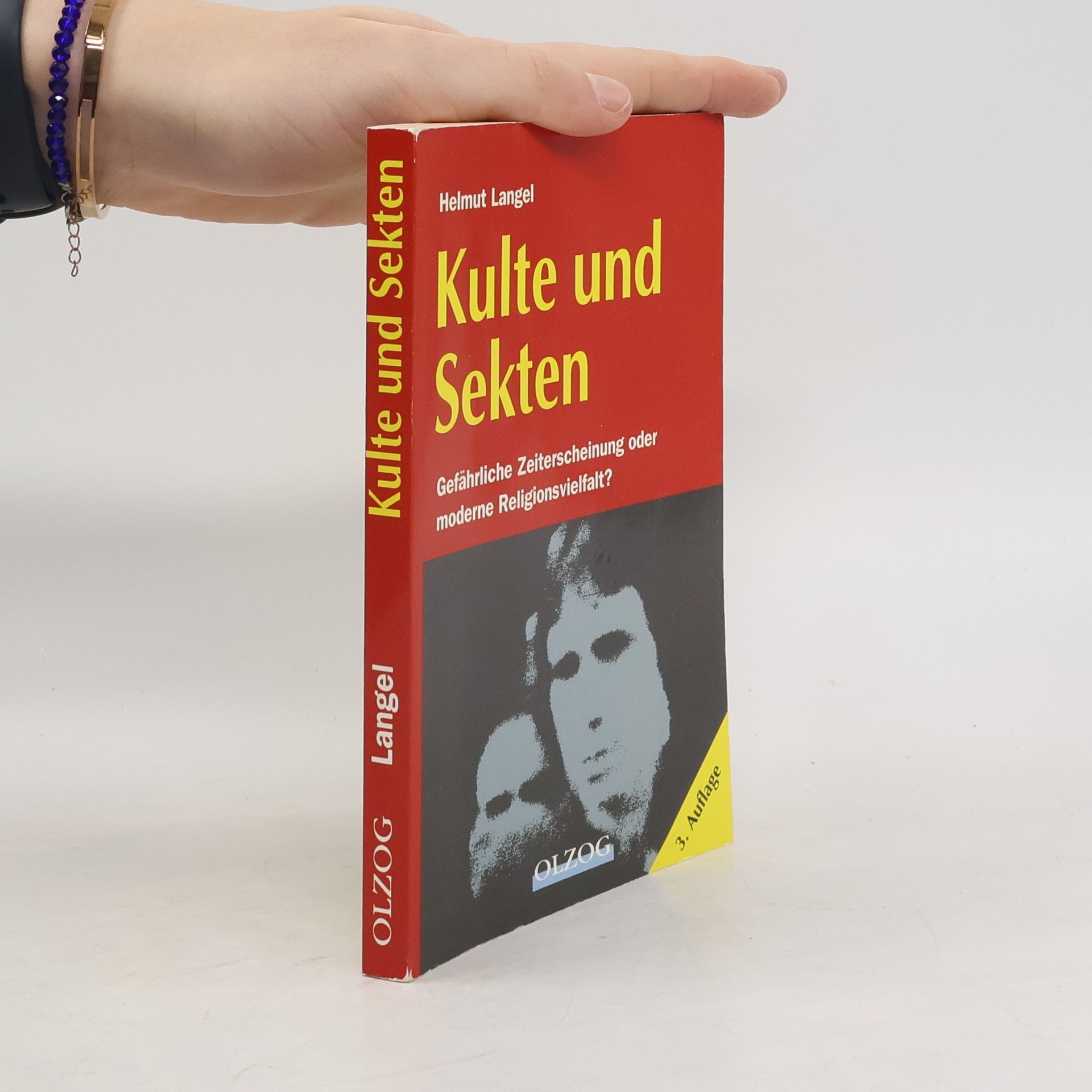 Helmut Langel Kulte und Sekten