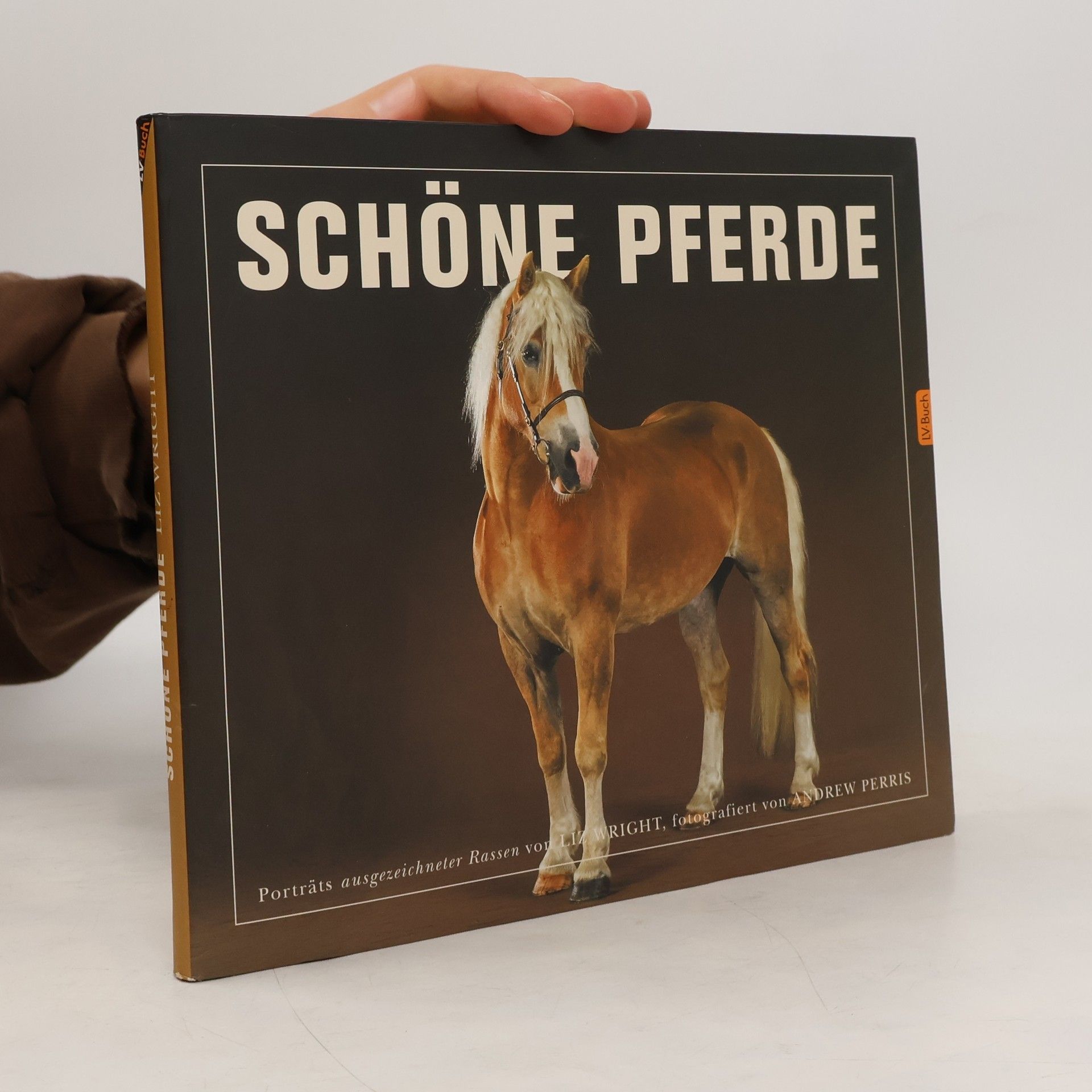 Schöne Pferde