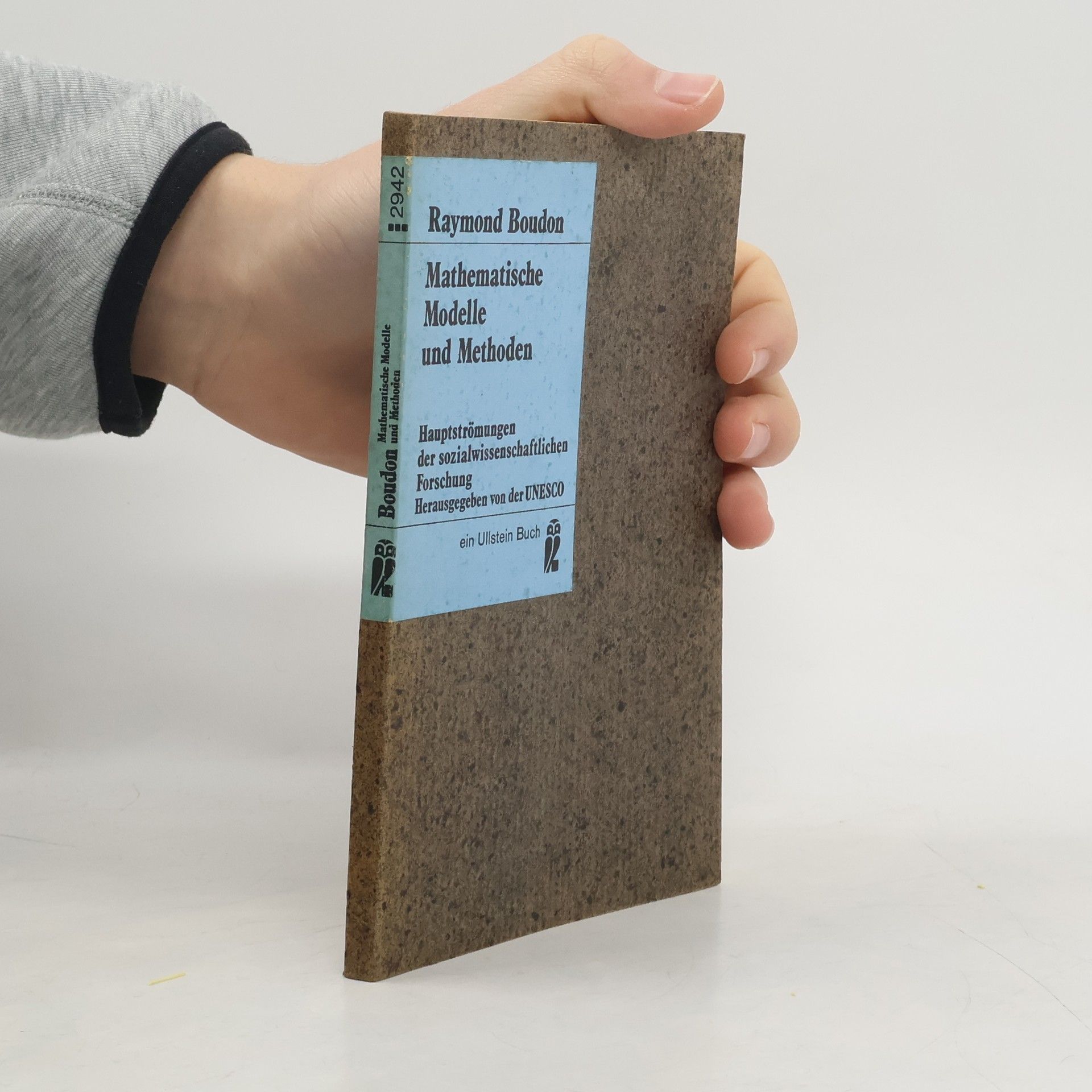 Raymond Boudon Mathematische Modelle und Methoden