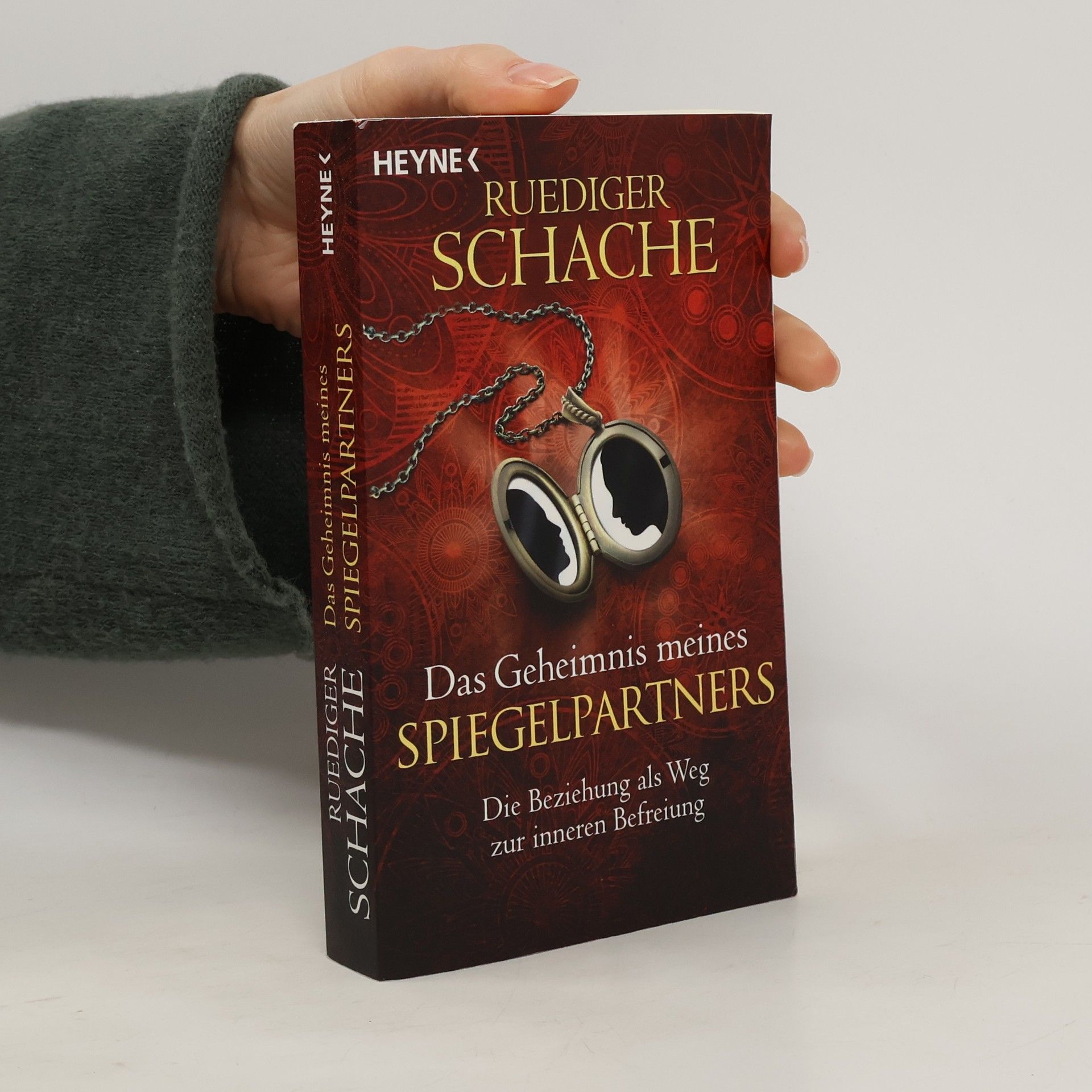 Ruediger Schache Das Geheimnis meines Spiegelpartners