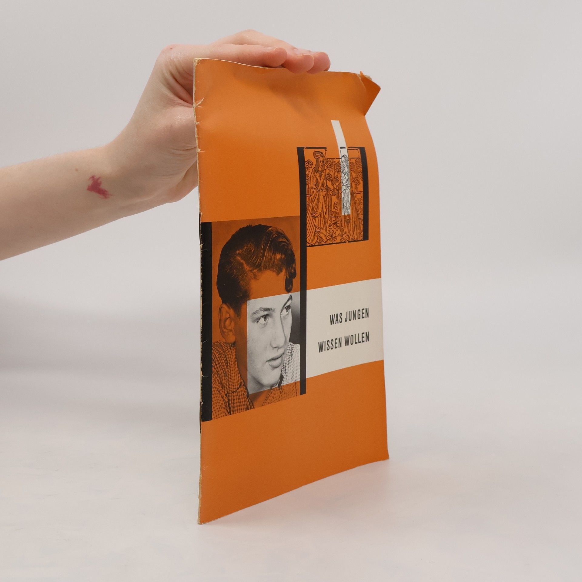 Various authors Was Jungen wissen wollen