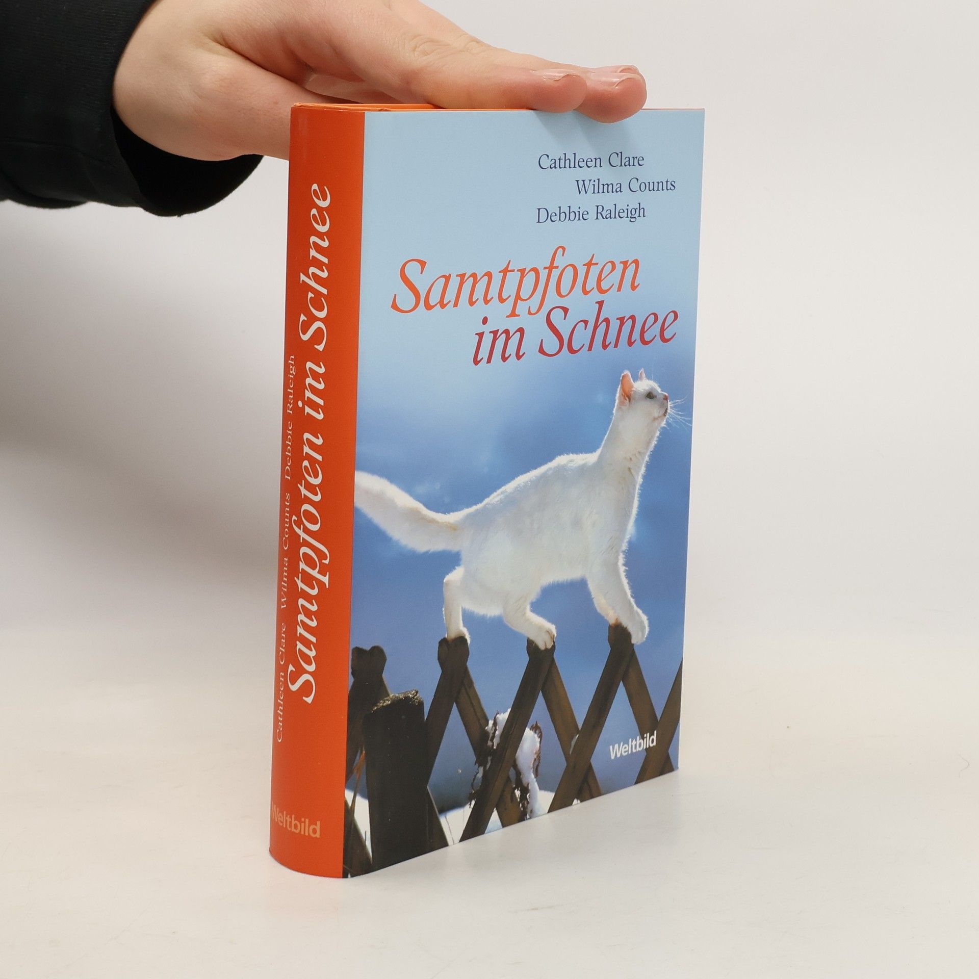 Samtpfoten im Schnee