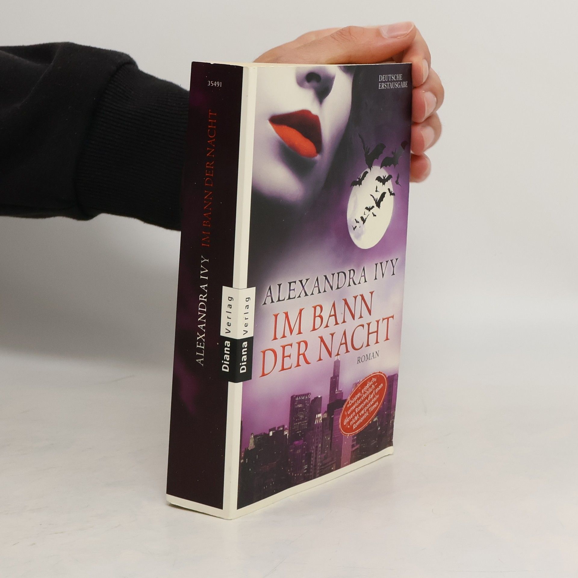 Alexandra Ivy Im Bann der Nacht