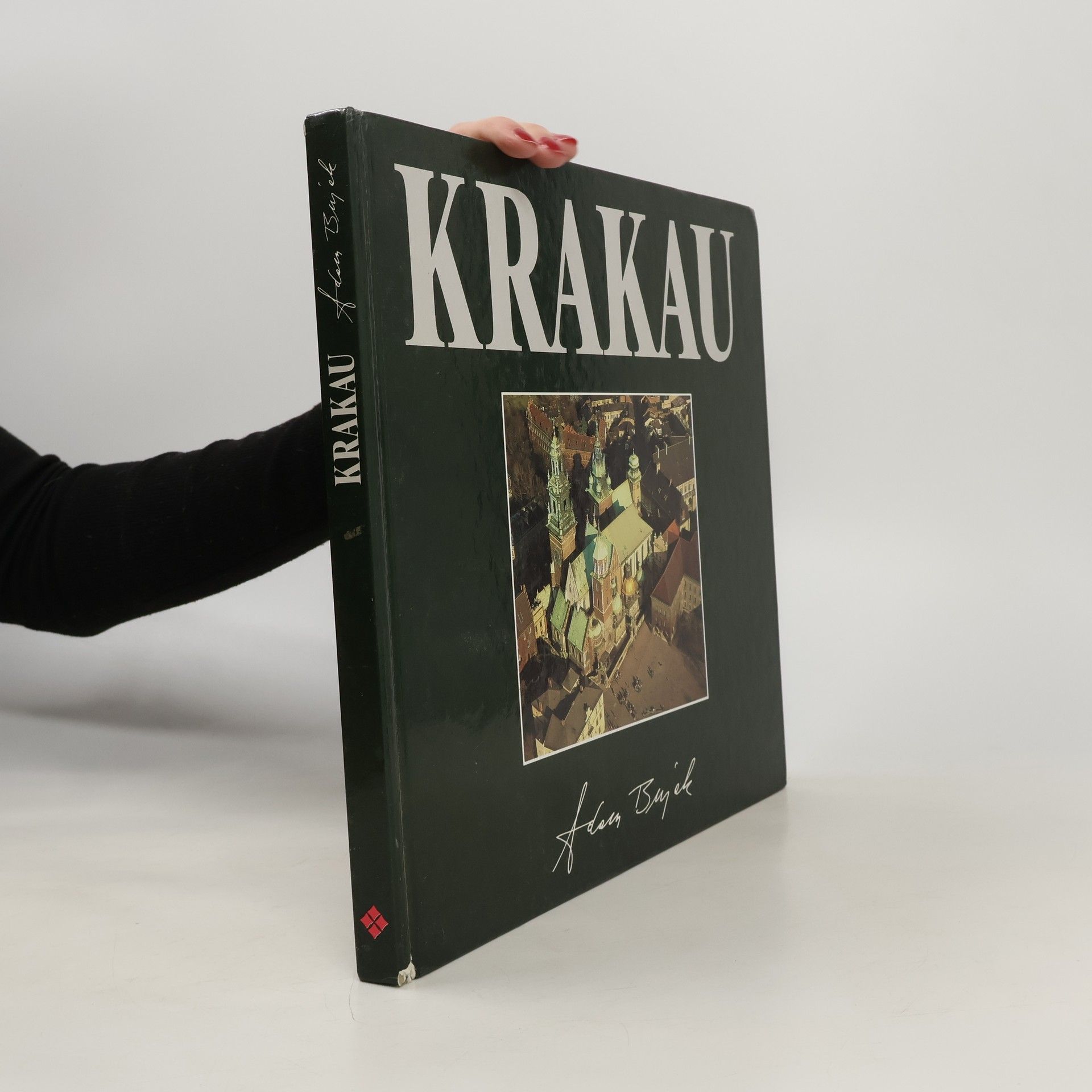 Adam Bujak Cracow from the air