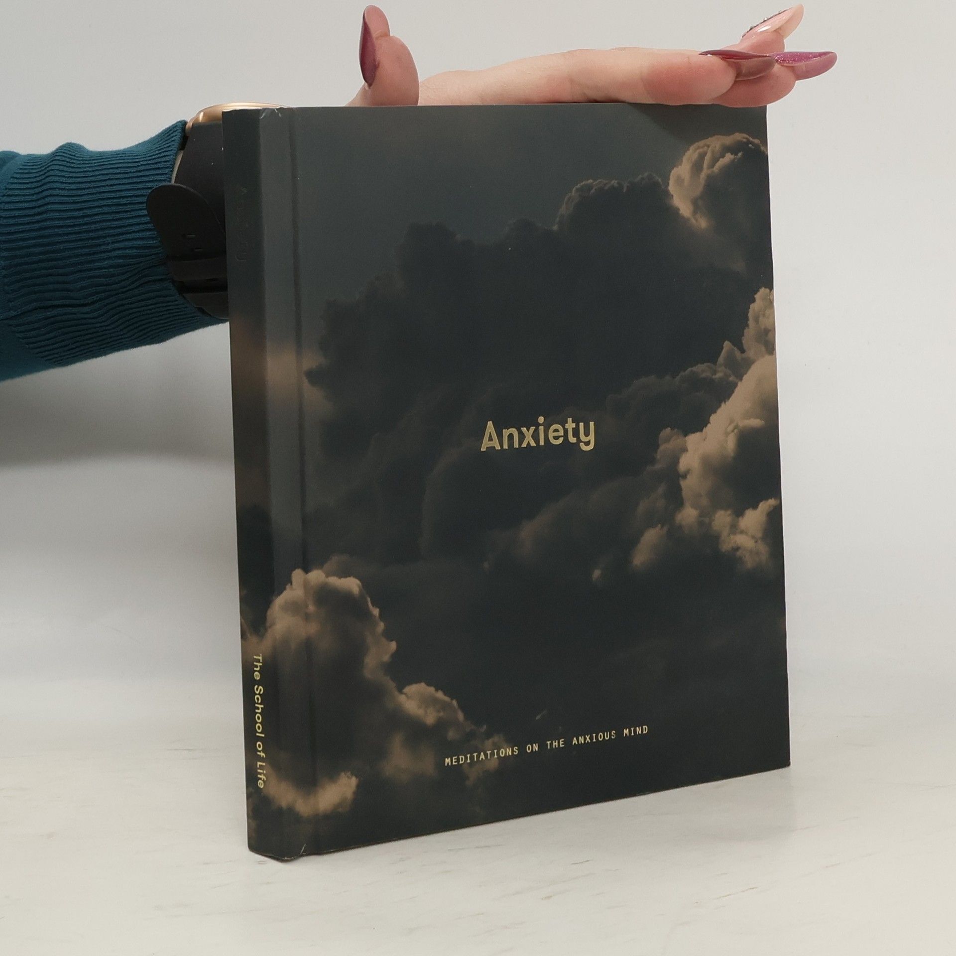Kolektiv autorů Anxiety : Meditations on the Anxyous Mind