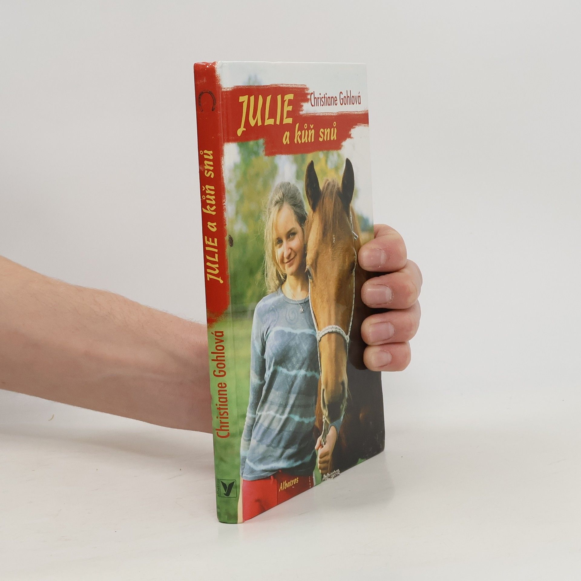 Christiane Gohl Julie a kůň snů