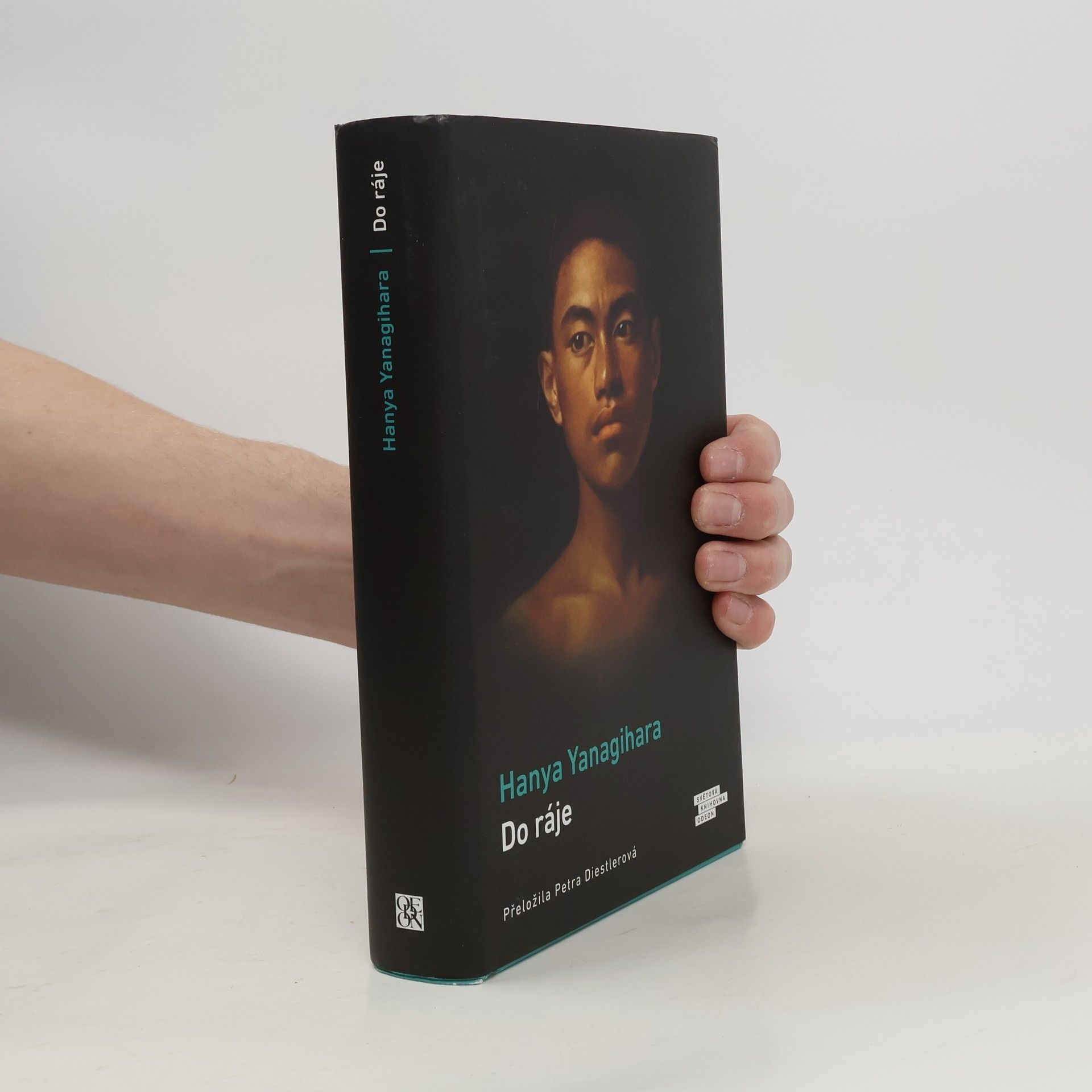 Hanya Yanagihara Do ráje