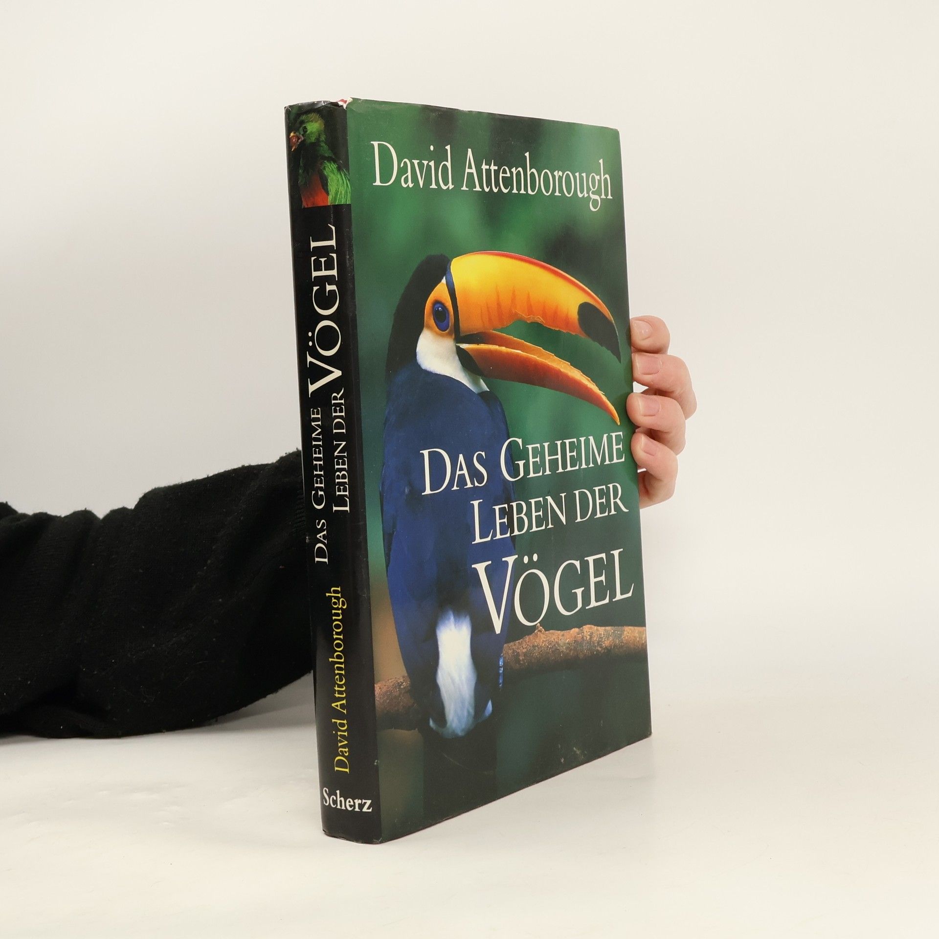 David Attenborough Das geheime Leben der Vögel